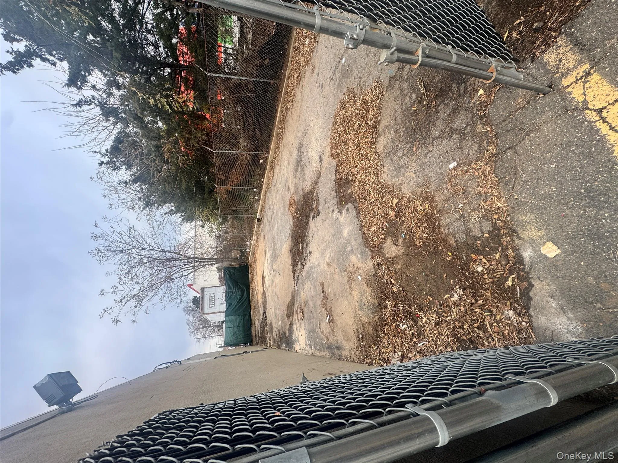 View of yard View of yard