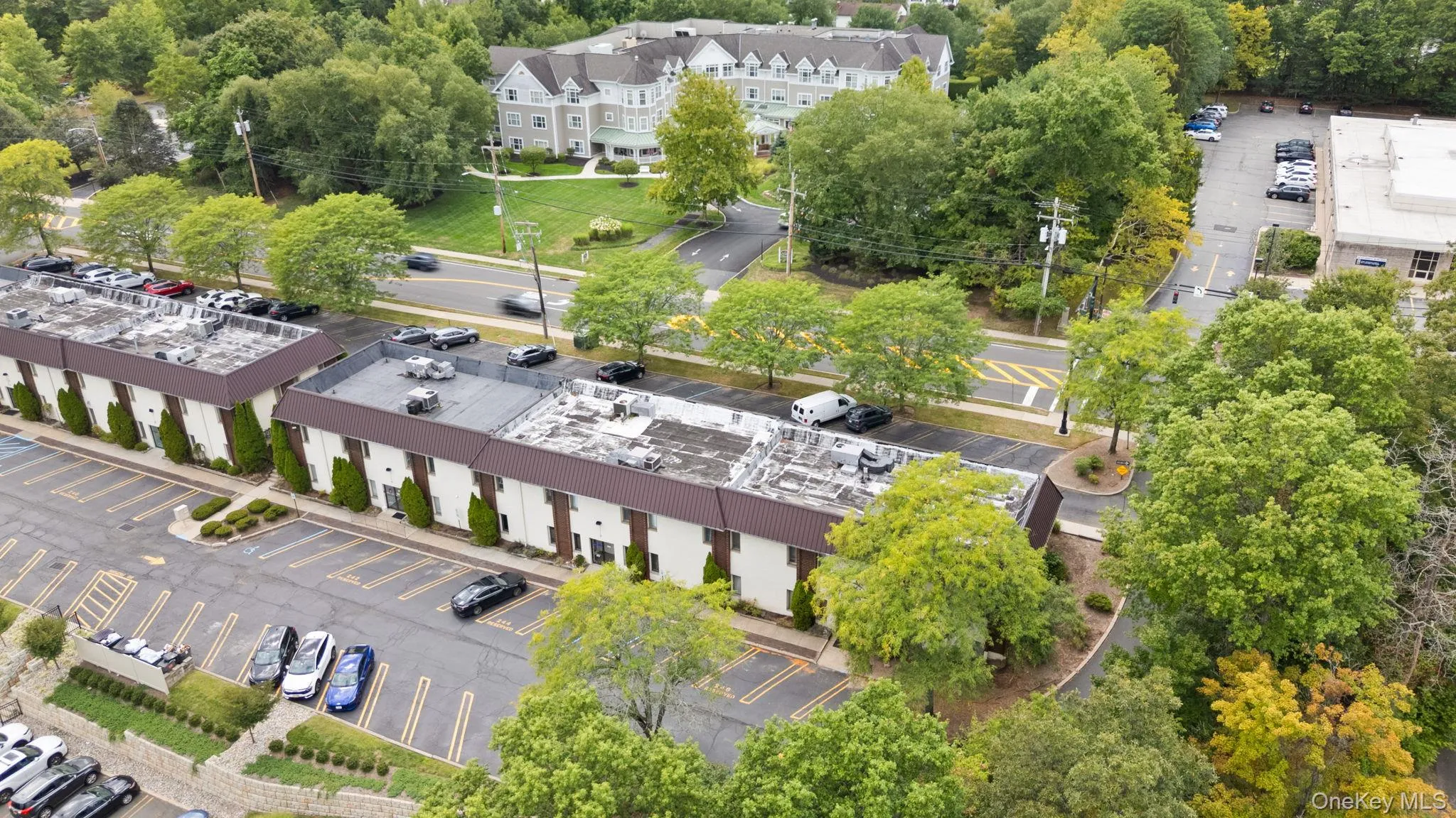 Drone / aerial view of a tree filled landscape Drone / aerial view of a tree filled landscape