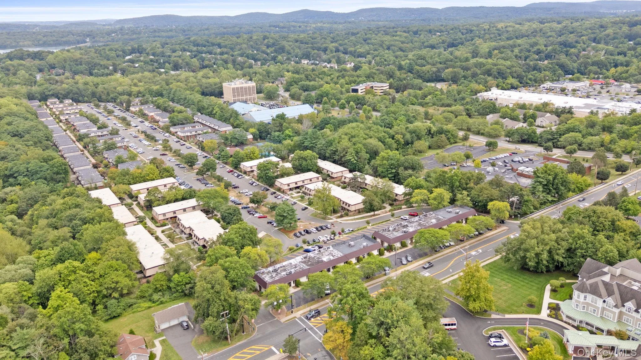 Drone / aerial view of a heavily wooded area and a mountainous background Drone / aerial view of a heavily wooded area and a mountainous background