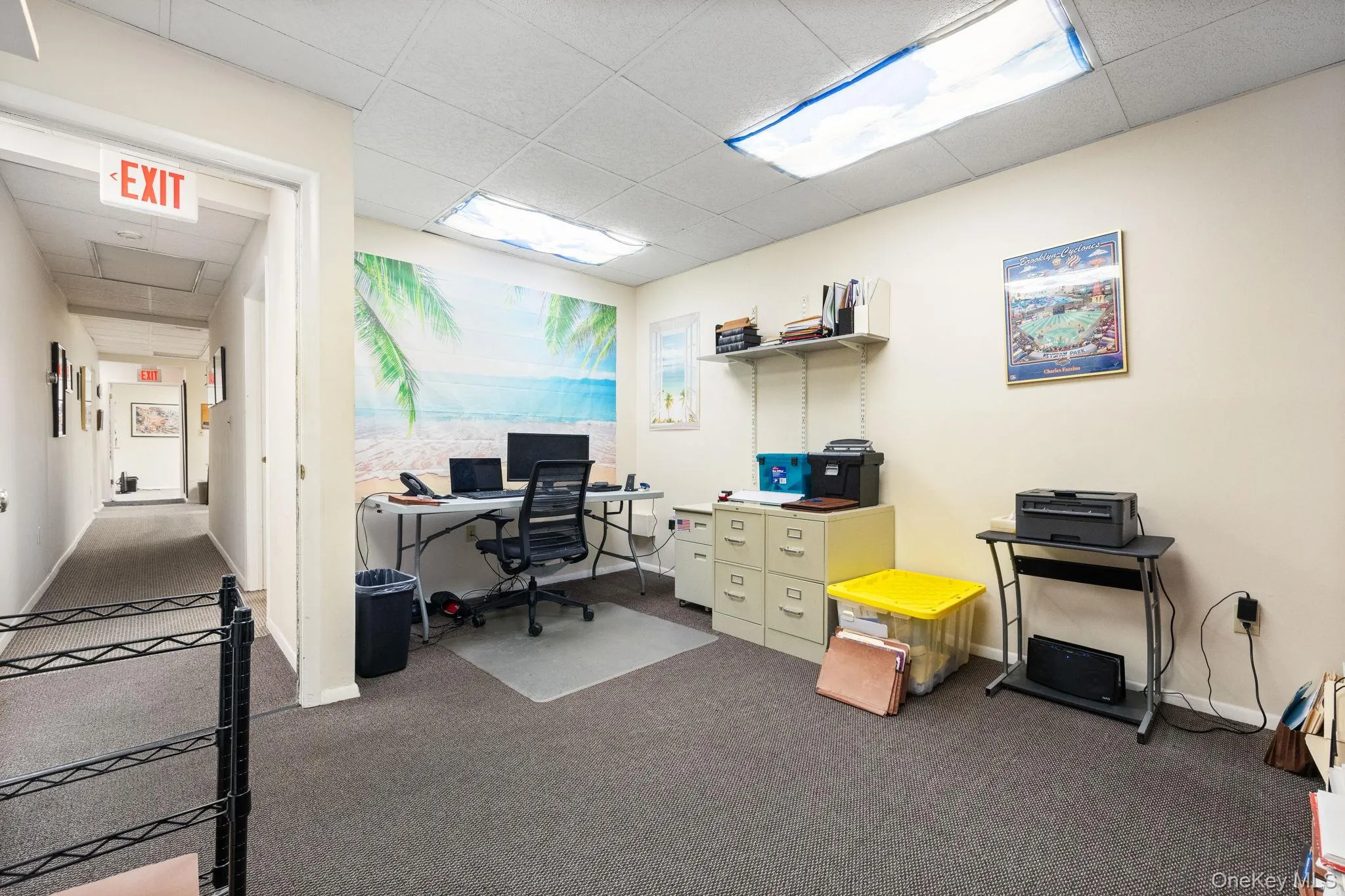 Carpeted office with a paneled ceiling and baseboards Carpeted office with a paneled ceiling and baseboards