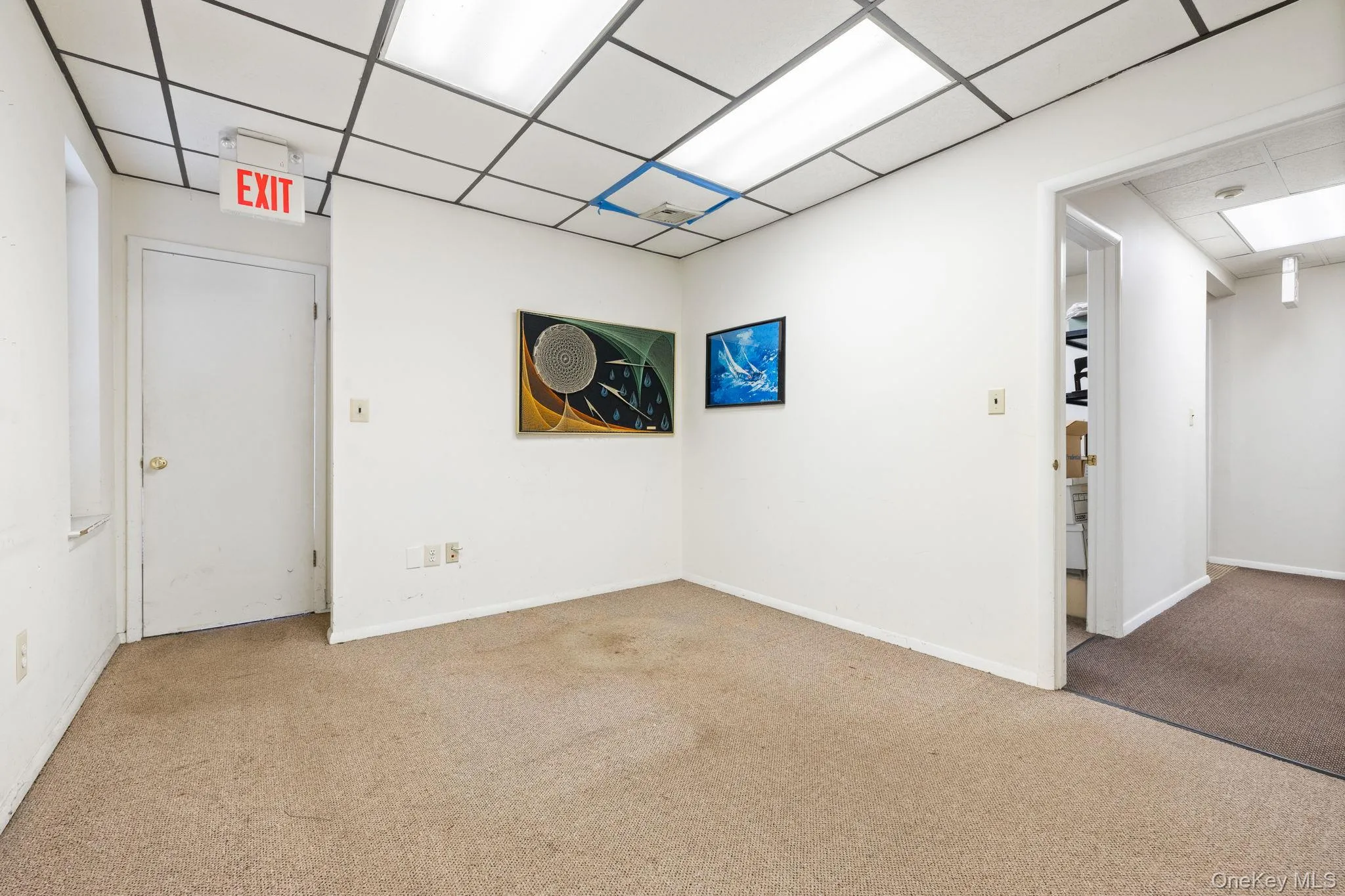Empty room featuring carpet flooring and a drop ceiling Empty room featuring carpet flooring and a drop ceiling