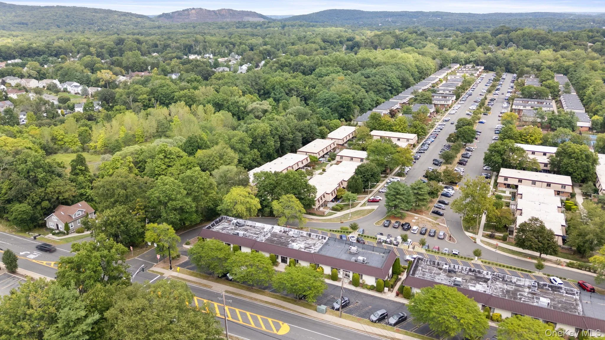 Bird's eye view of a heavily wooded area and a mountain backdrop Bird's eye view of a heavily wooded area and a mountain backdrop