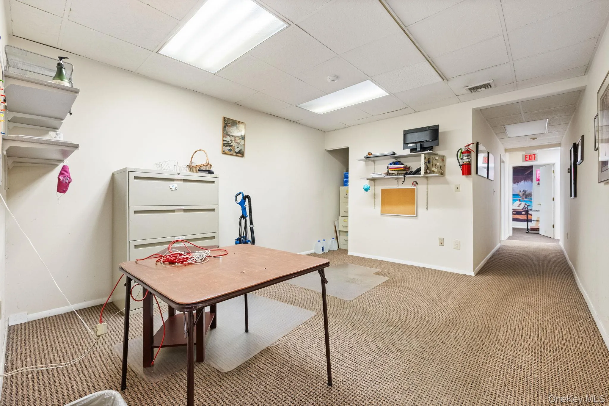 Carpeted office featuring a paneled ceiling Carpeted office featuring a paneled ceiling