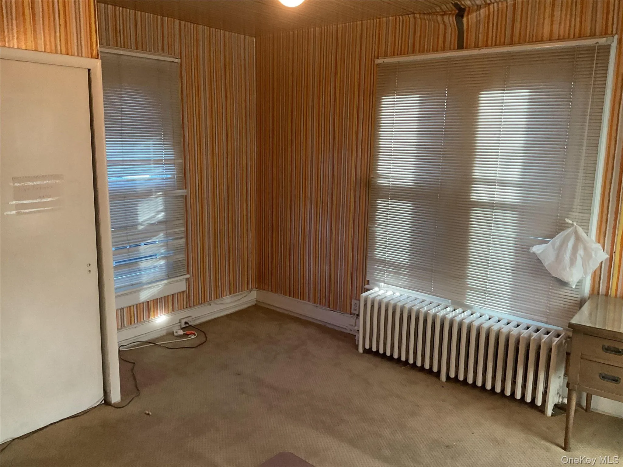 Carpeted spare room featuring radiator heating unit Carpeted spare room featuring radiator heating unit