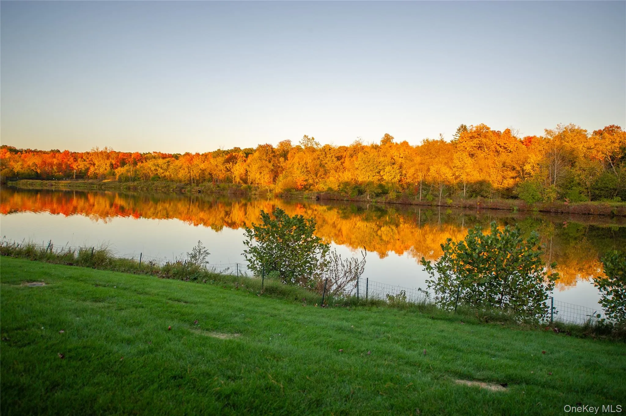 Water view featuring a heavily wooded area Water view featuring a heavily wooded area
