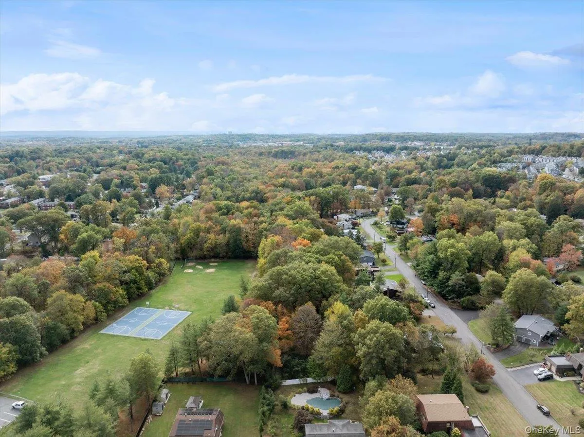 Bird's eye view of a forest Bird's eye view of a forest