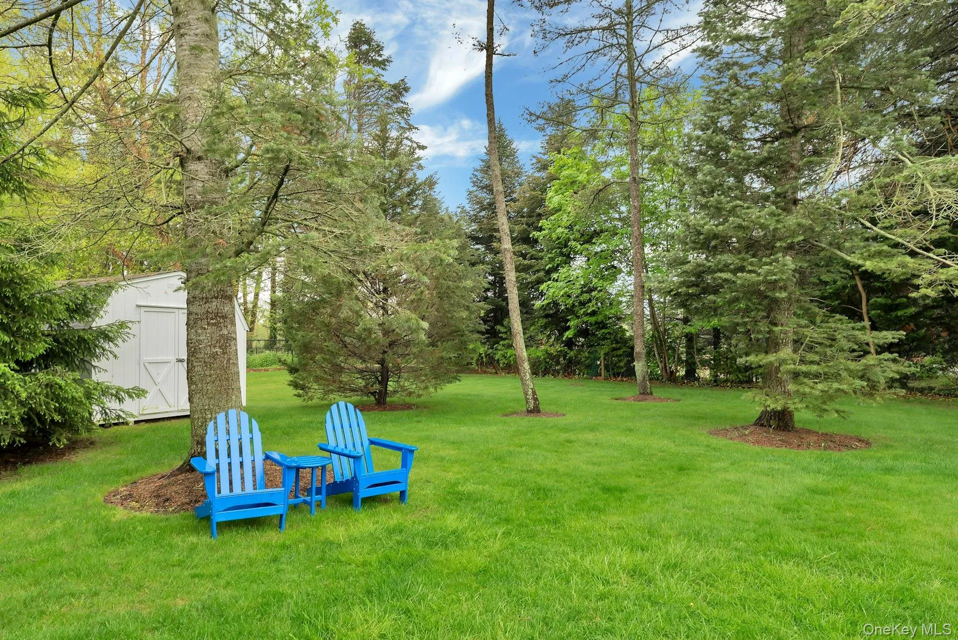 View of grassy yard featuring a storage shed View of grassy yard featuring a storage shed