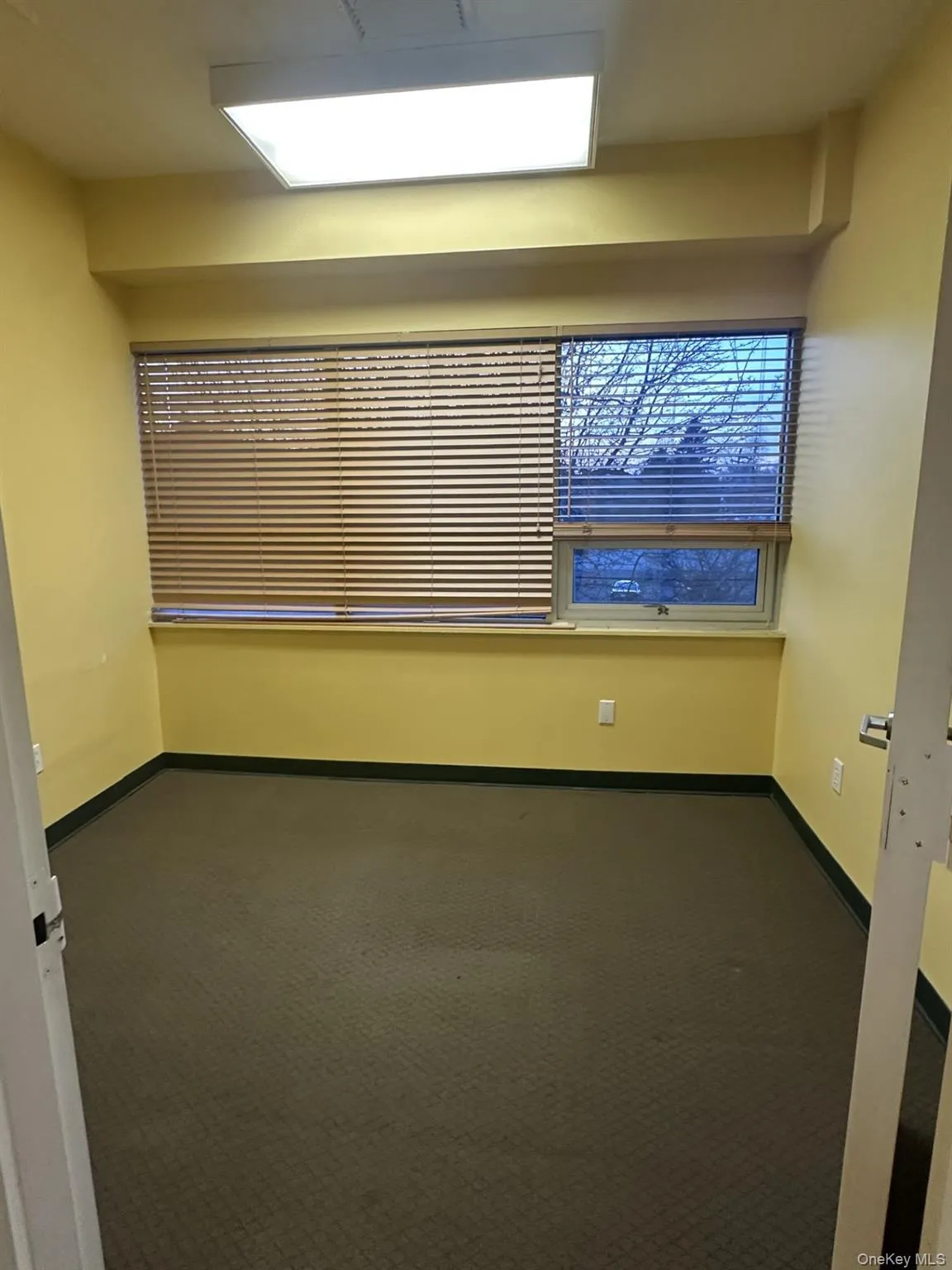 Empty room with dark carpet and baseboards Empty room with dark carpet and baseboards