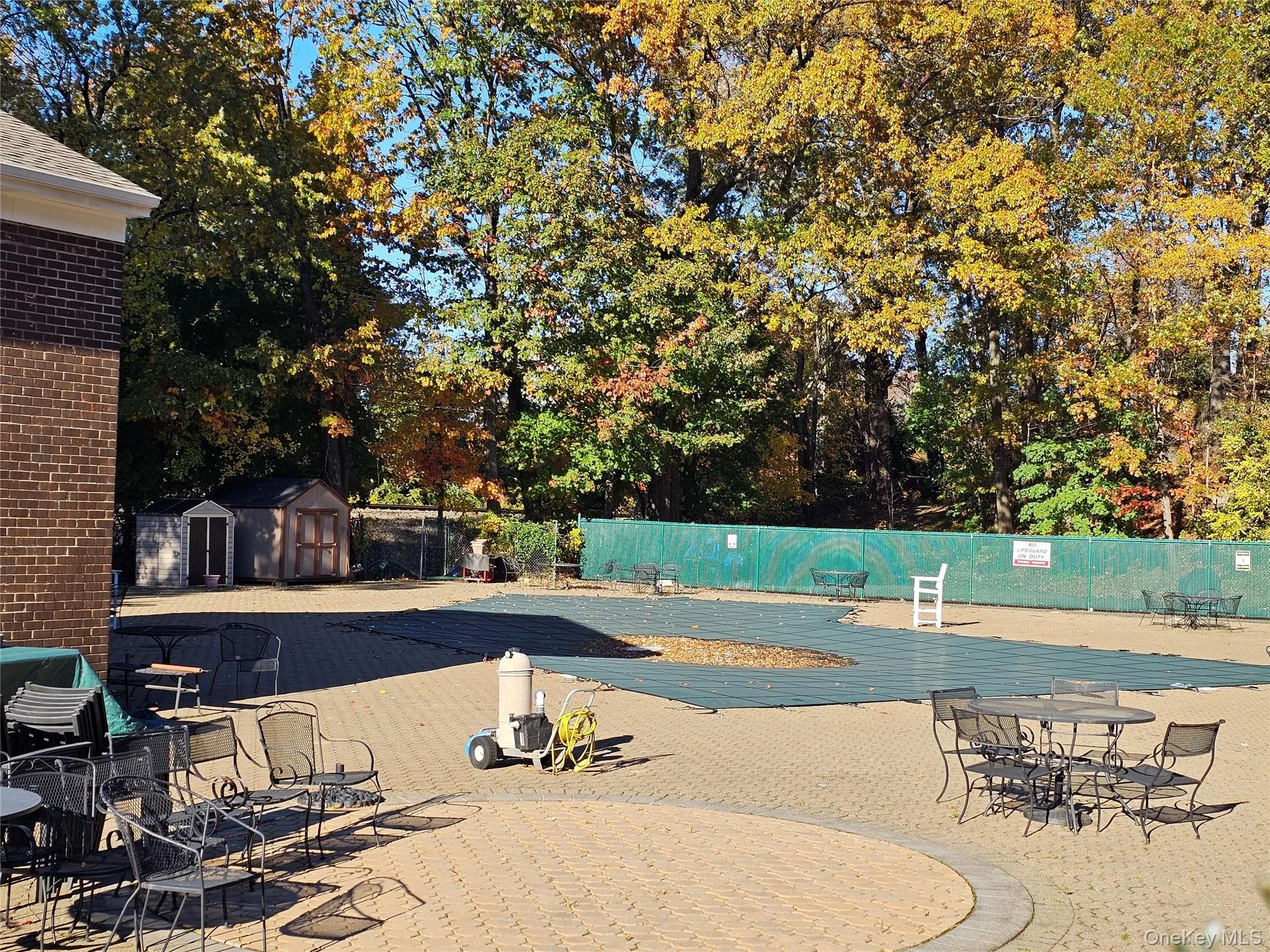 Community pool with a storage shed and a patio Community pool with a storage shed and a patio
