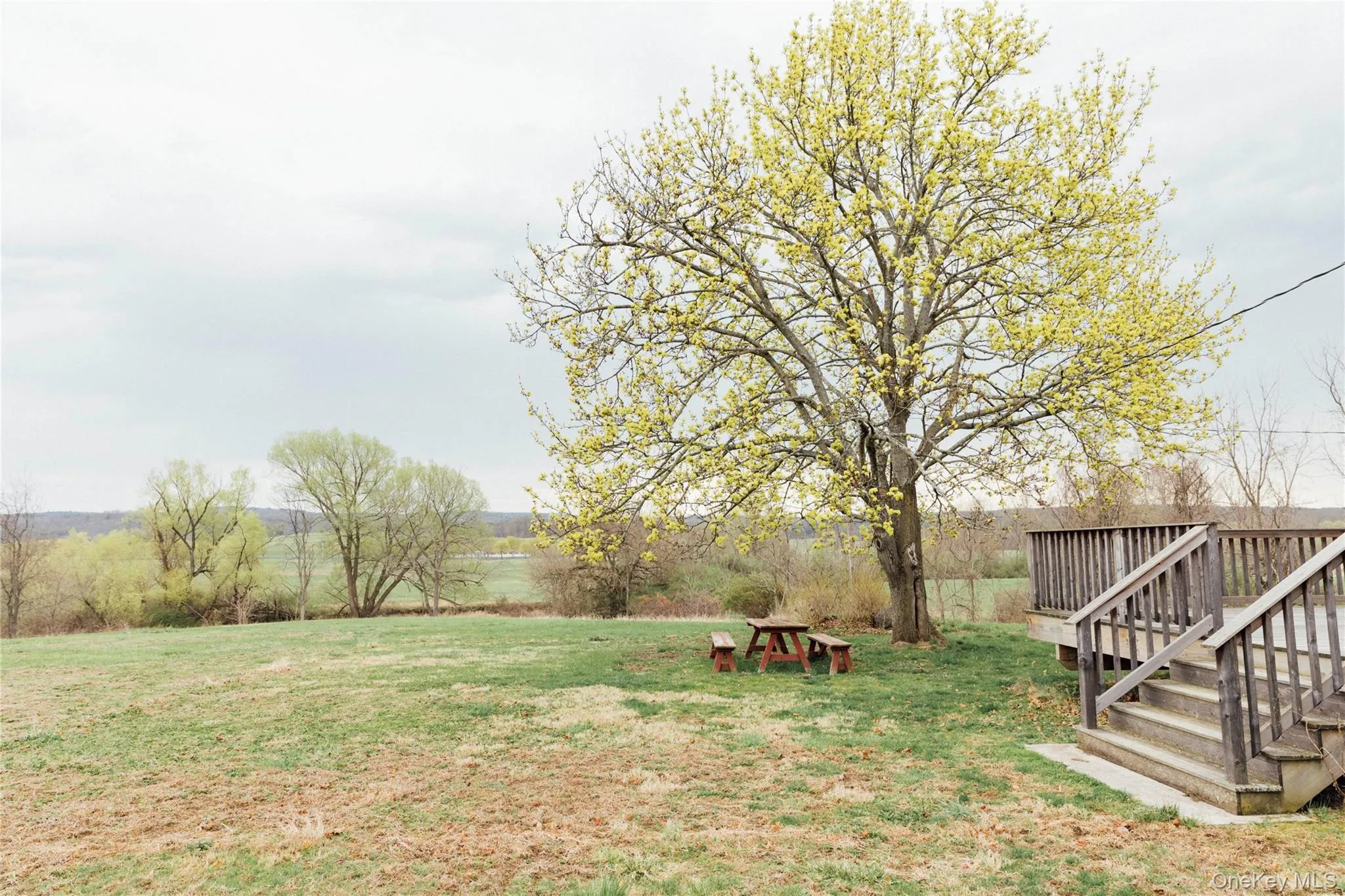 View of yard with a deck View of yard with a deck