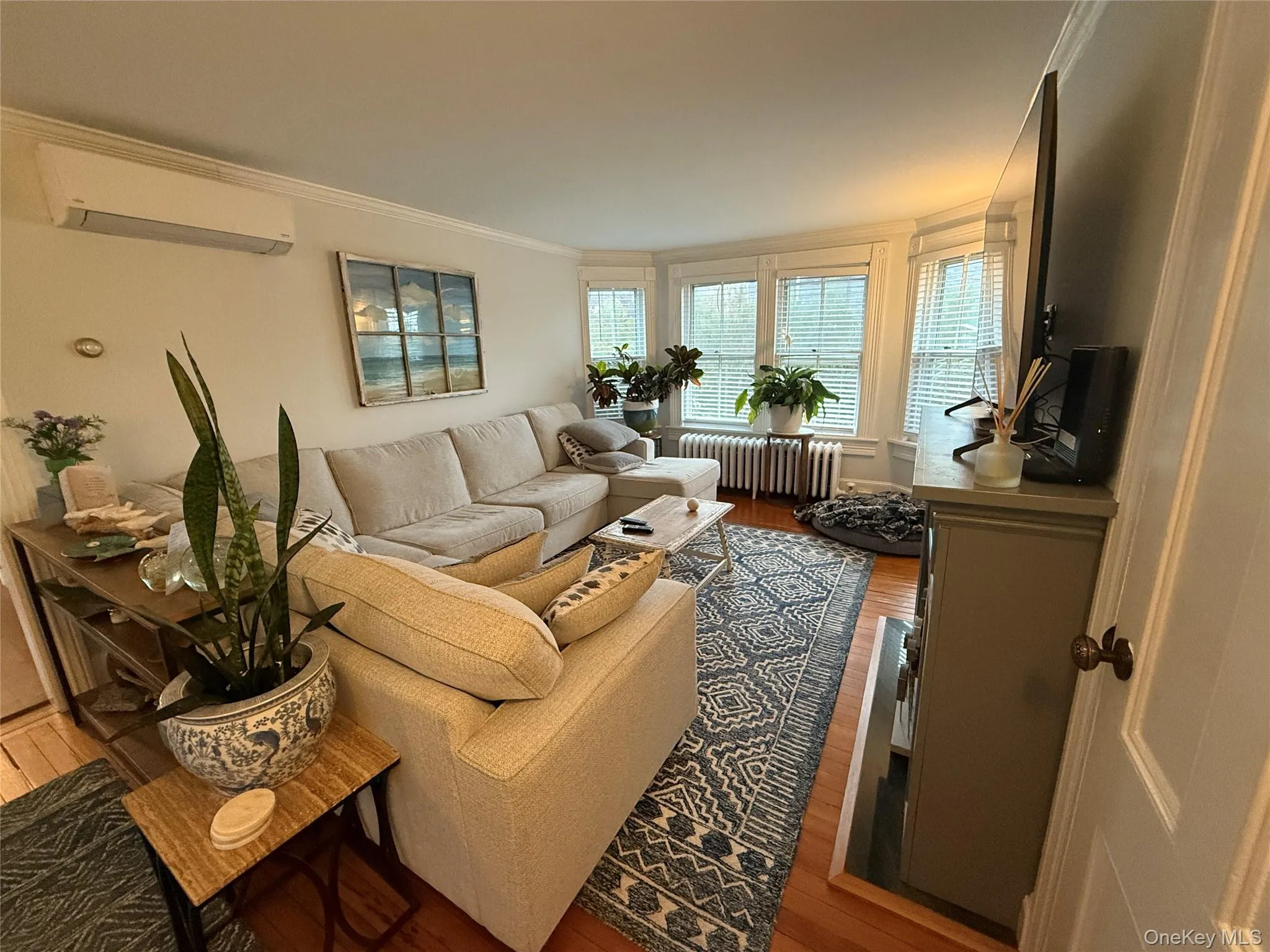 Living room featuring ornamental molding, hardwood / wood-style flooring, radiator, and an AC wall unit Living room featuring ornamental molding, hardwood / wood-style flooring, radiator, and an AC wall unit