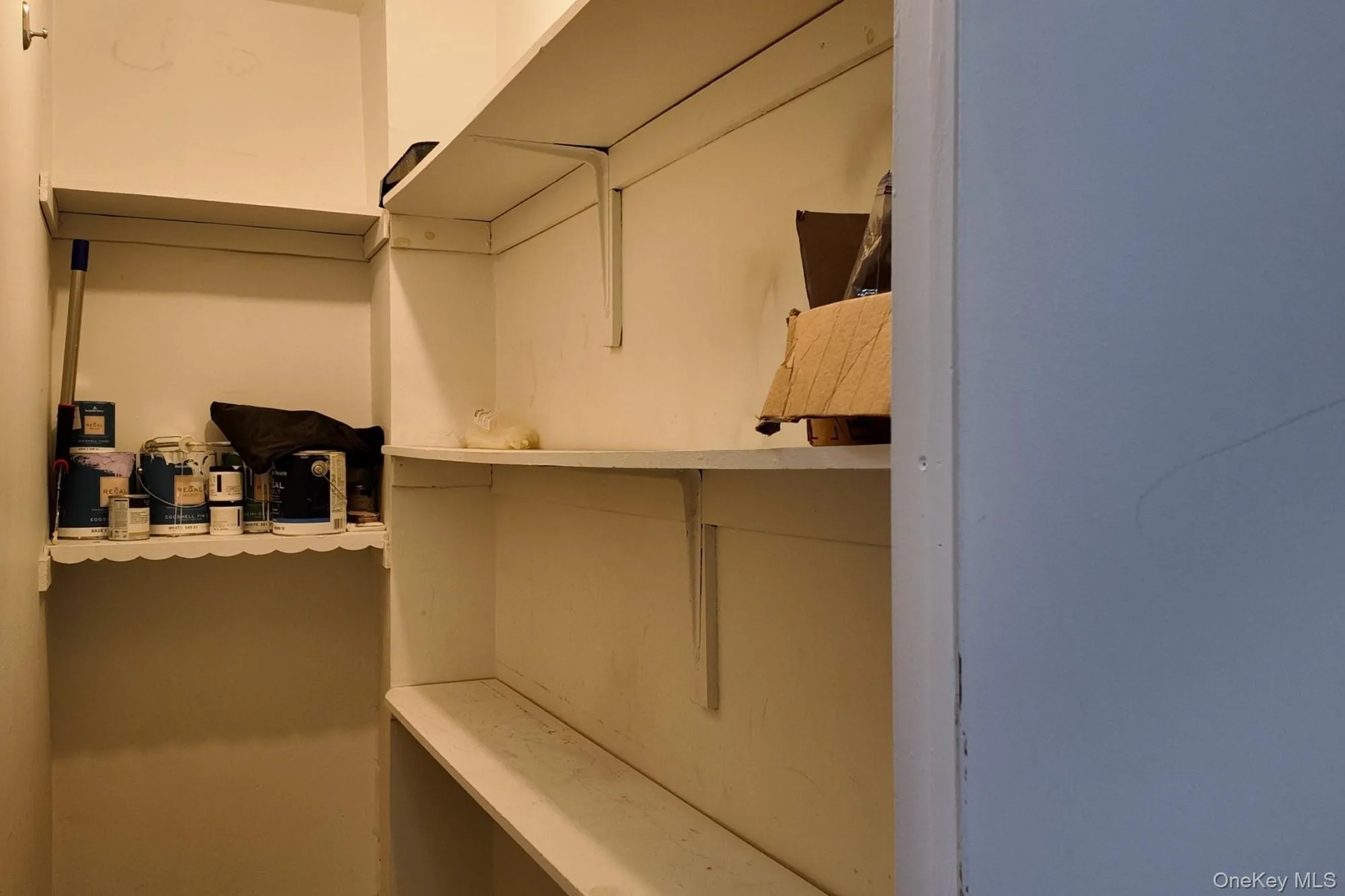 View of walk in closet View of walk in closet