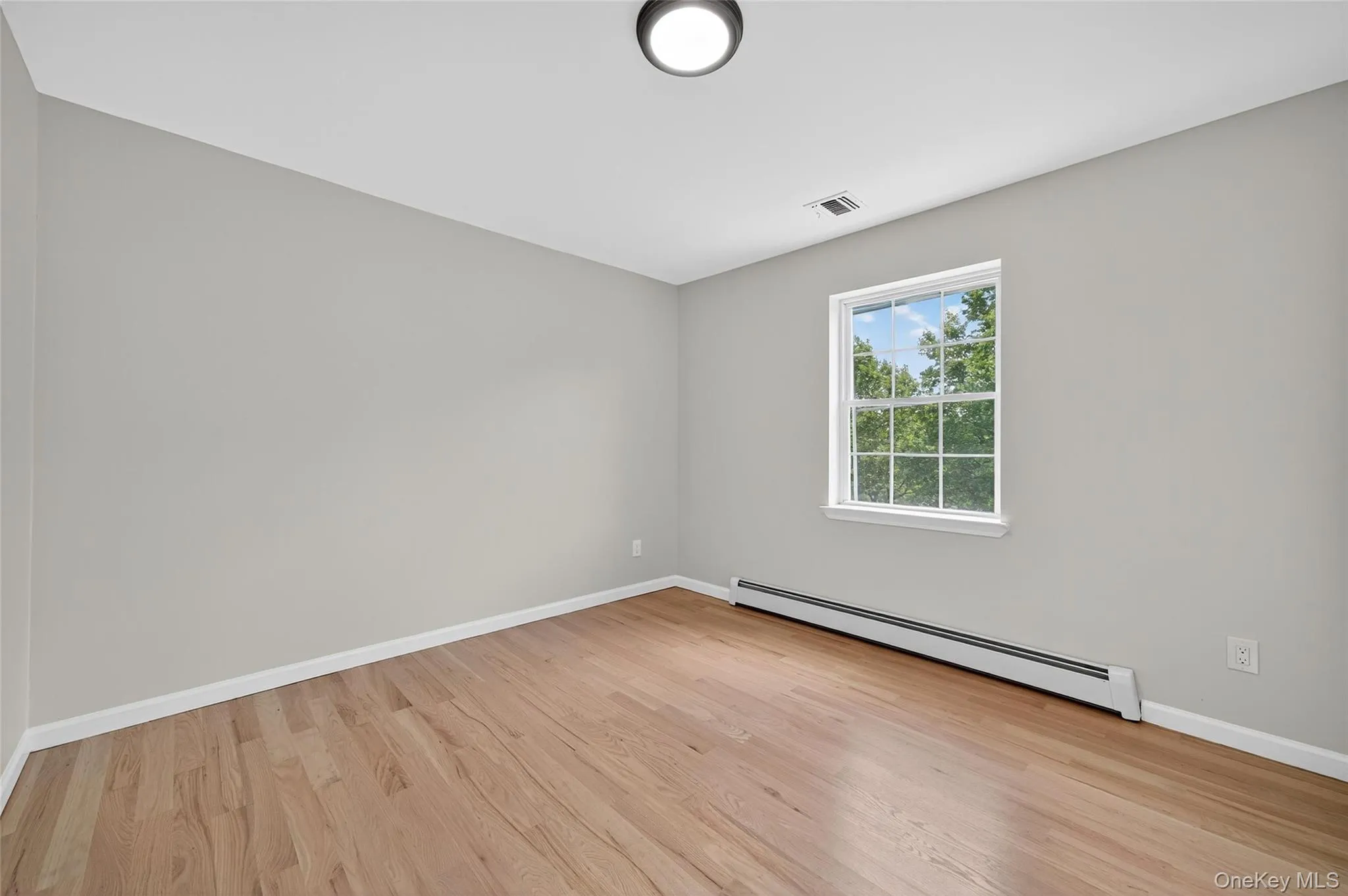 Spare room with a baseboard radiator and light wood-style flooring Spare room with a baseboard radiator and light wood-style flooring