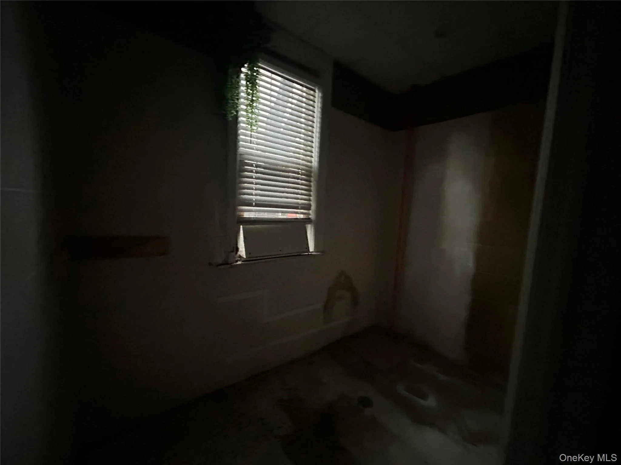 View of bonus room View of bonus room