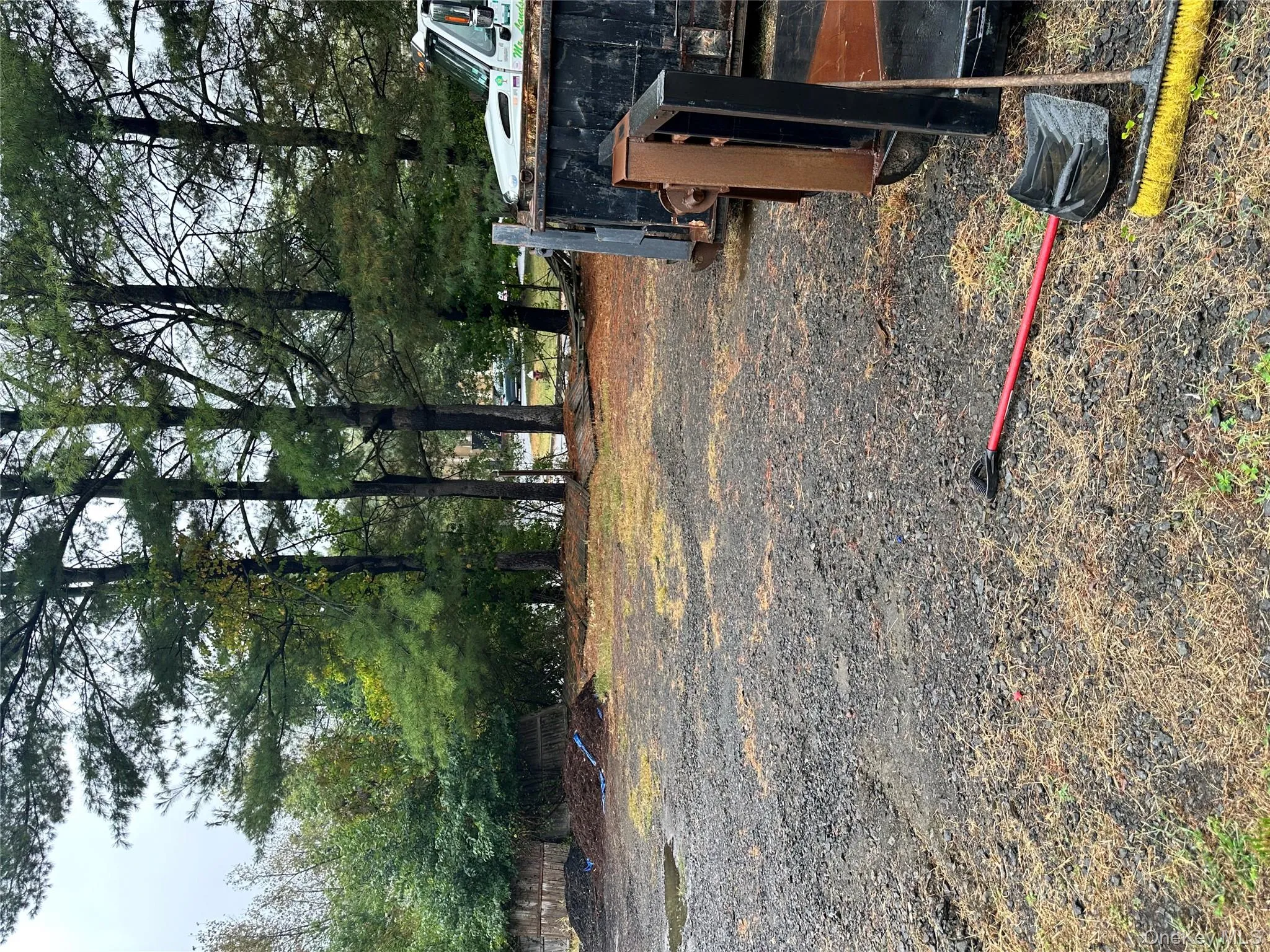 View of yard View of yard