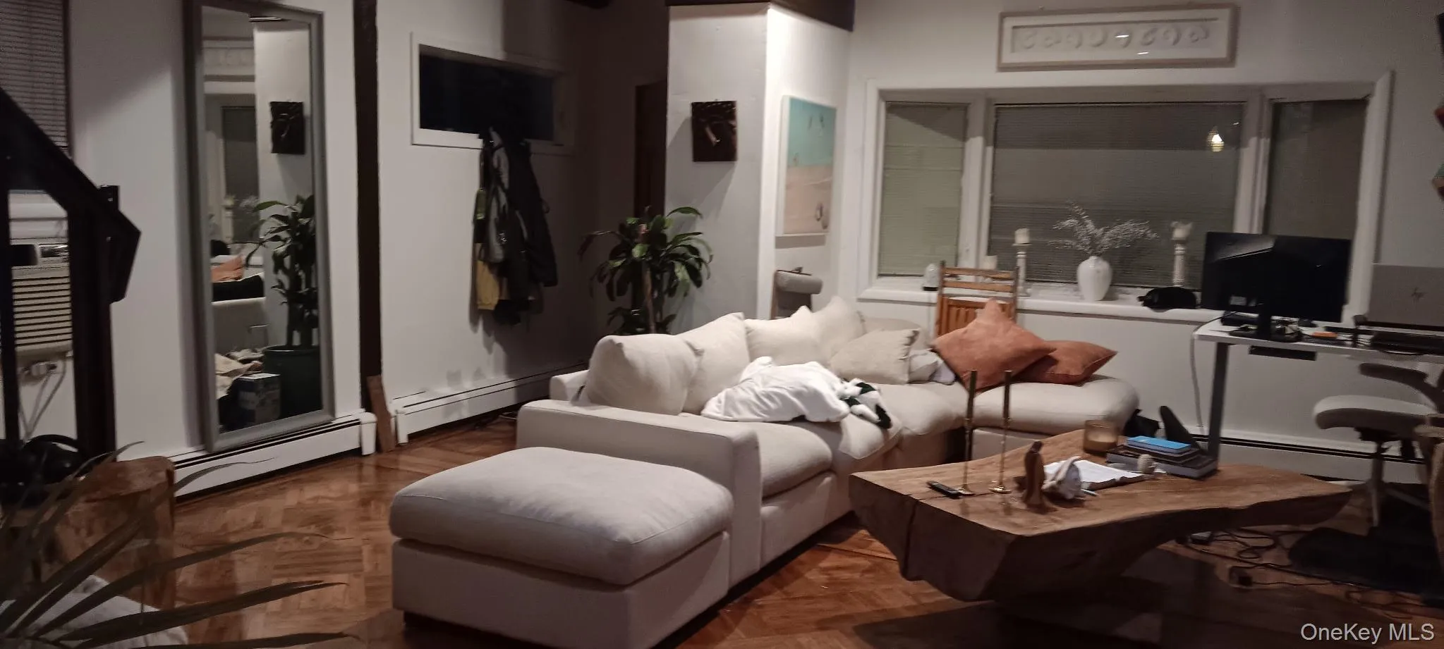 Living room featuring a baseboard heating unit Living room featuring a baseboard heating unit