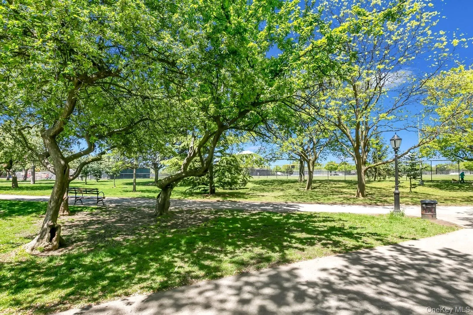 64-68 83 Place, New York, NY, 3 Bedrooms Bedrooms, ,2 BathroomsBathrooms,Residential,For Rent,83,0,940781 64-68 83 Place, New York, NY, 3 Bedrooms Bedrooms, ,2 BathroomsBathrooms,Residential,For Rent,83,0,940781