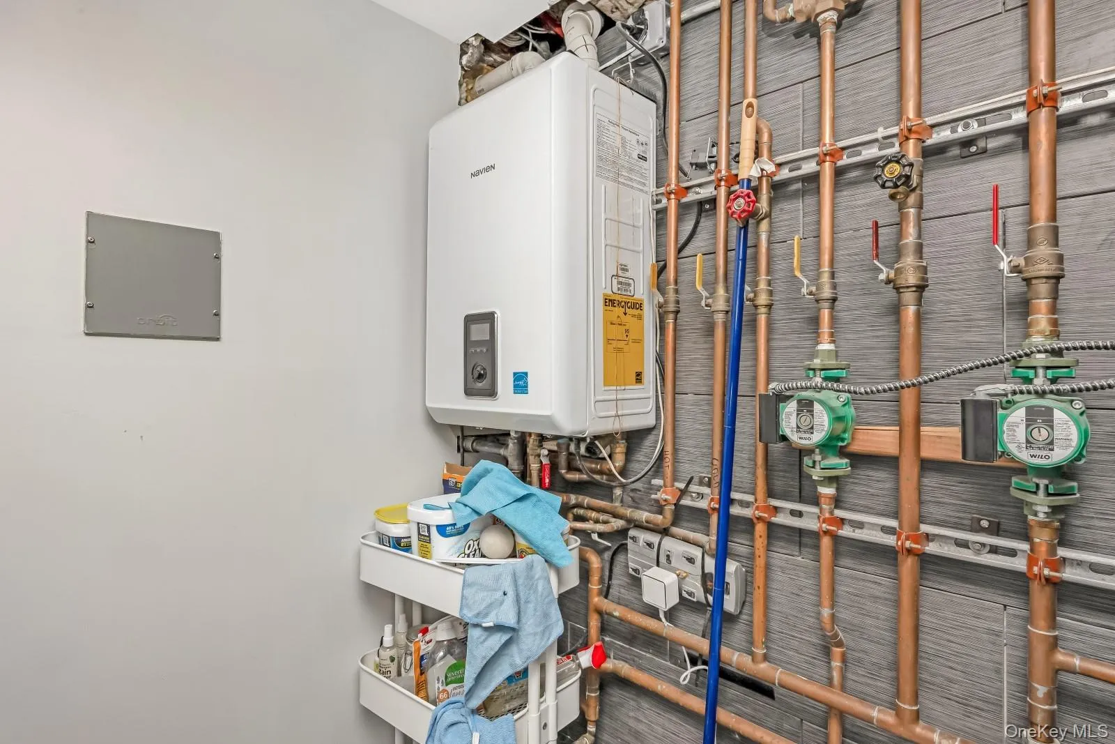 64-68 83 Place, New York, NY, 3 Bedrooms Bedrooms, ,2 BathroomsBathrooms,Residential,For Rent,83,0,940781 64-68 83 Place, New York, NY, 3 Bedrooms Bedrooms, ,2 BathroomsBathrooms,Residential,For Rent,83,0,940781