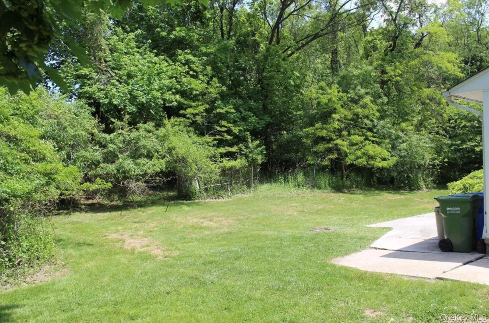 View of green lawn featuring a wooded view View of green lawn featuring a wooded view
