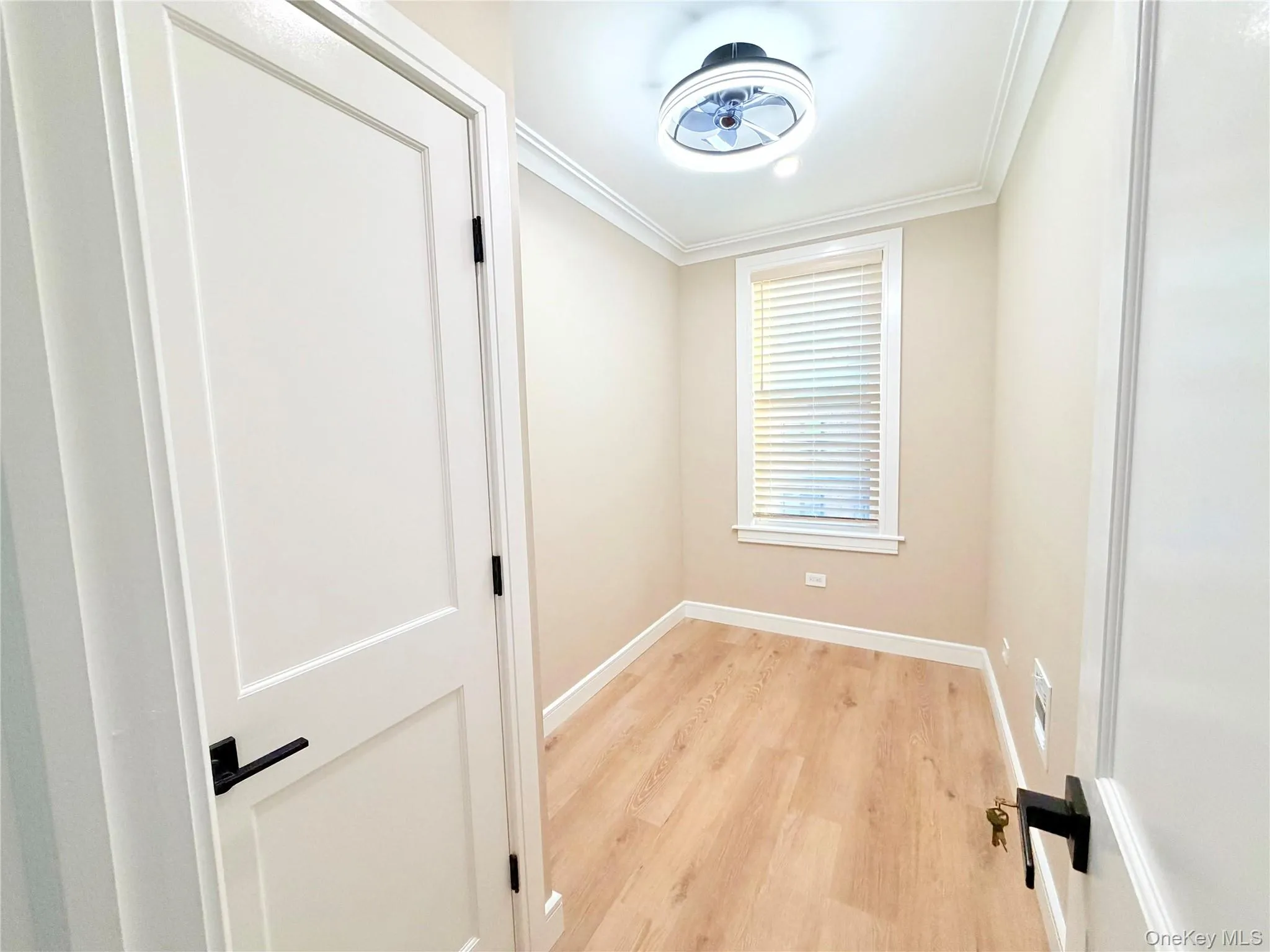 Spare room featuring light wood finished floors and ornamental molding Spare room featuring light wood finished floors and ornamental molding