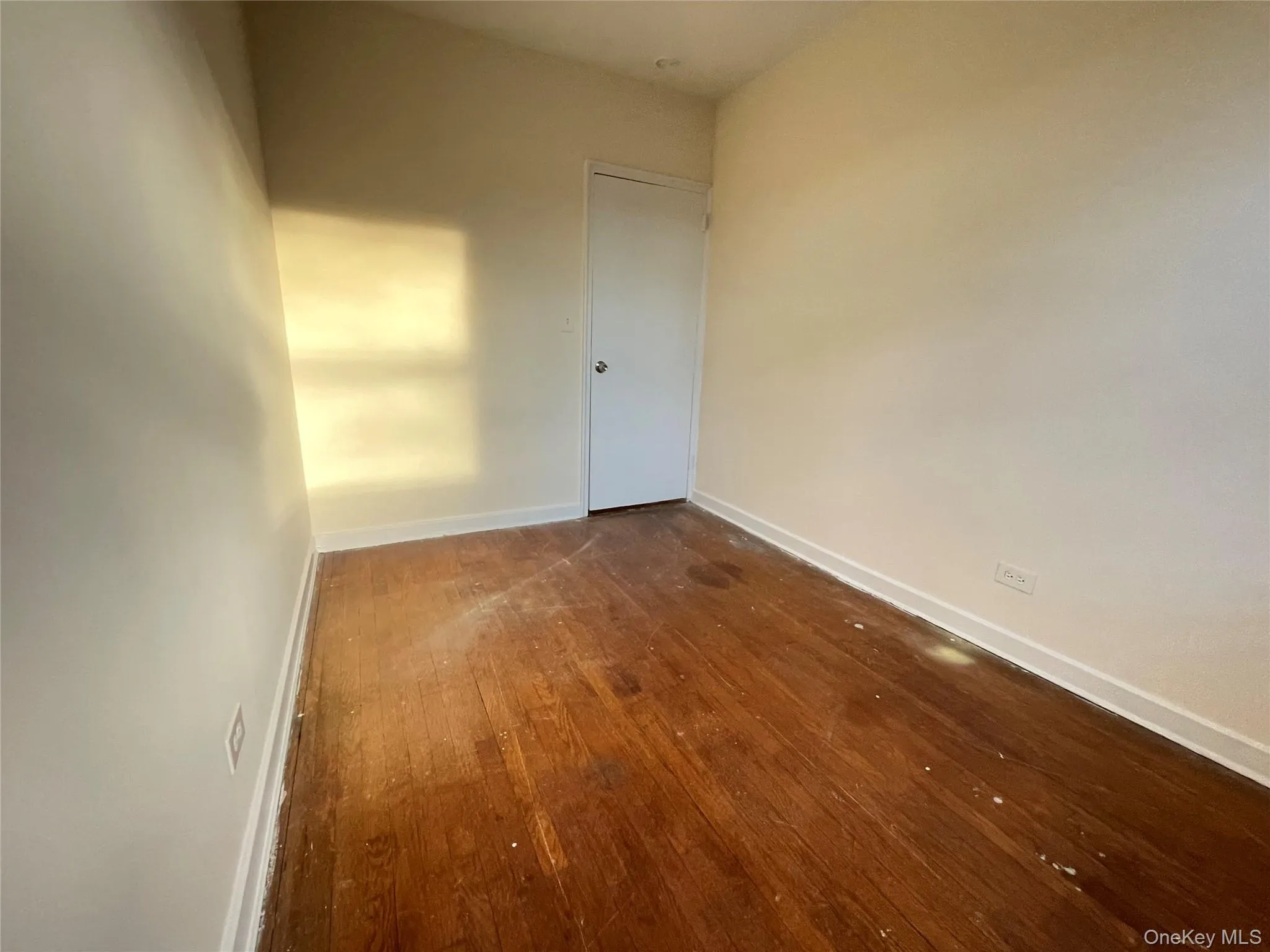 bonus room bonus room