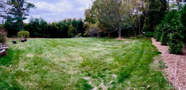 View of green lawn with a forest view View of green lawn with a forest view