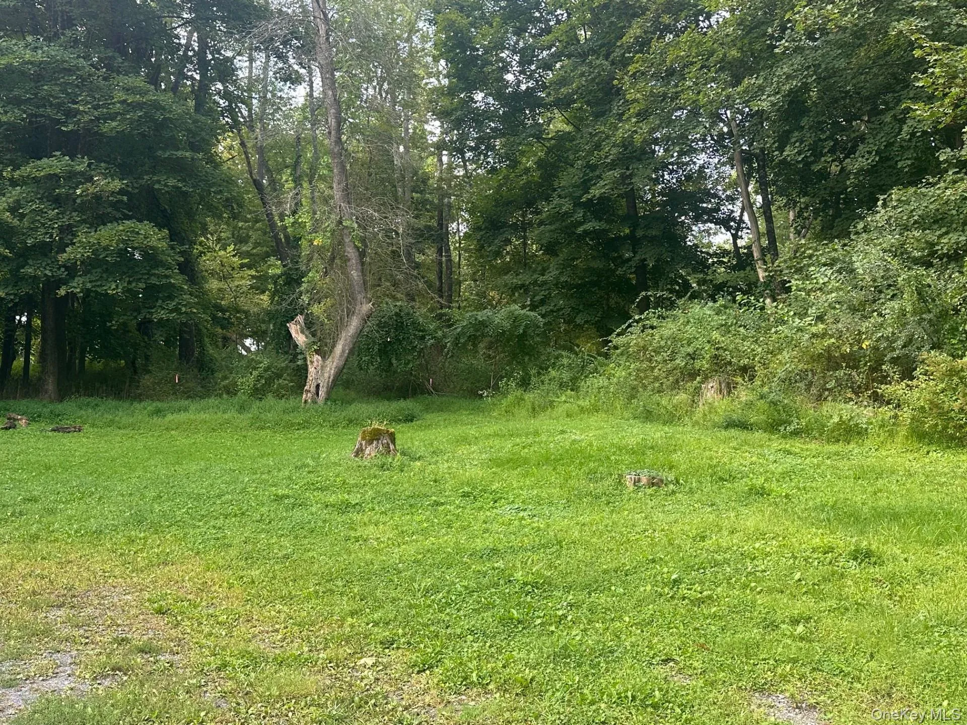 706 Beekman Road, Beekman, NY, 2 Bedrooms Bedrooms, 5 Rooms Rooms,1 BathroomBathrooms,Residential Lease,Idx,Beekman,0,941186 706 Beekman Road, Beekman, NY, 2 Bedrooms Bedrooms, 5 Rooms Rooms,1 BathroomBathrooms,Residential Lease,Idx,Beekman,0,941186