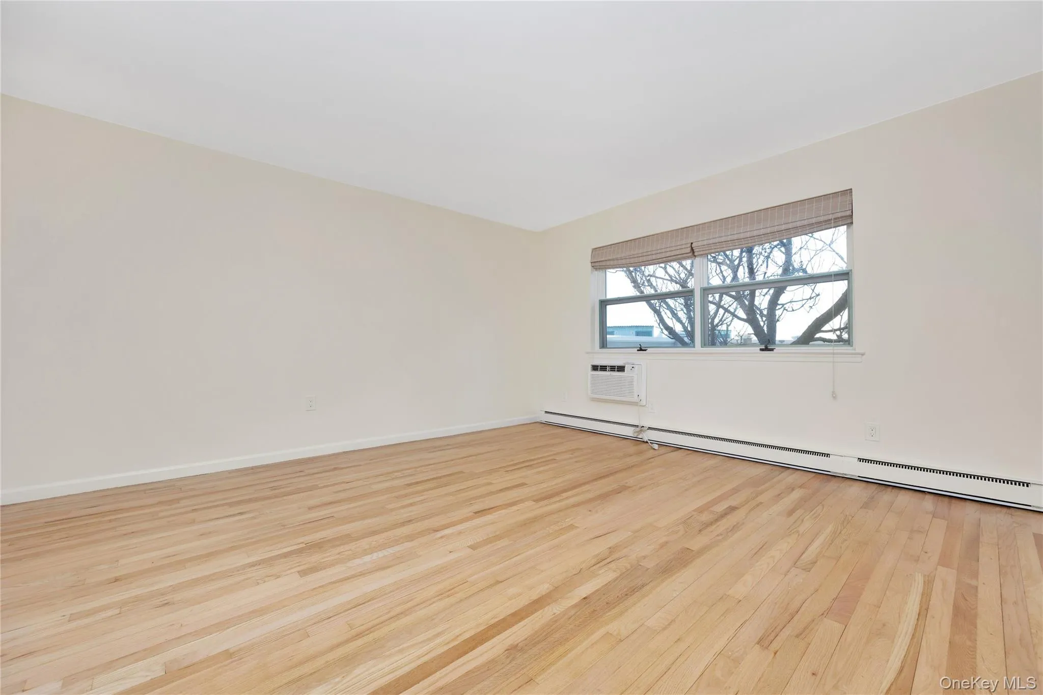 Spare room featuring a baseboard radiator and light wood-style flooring Spare room featuring a baseboard radiator and light wood-style flooring