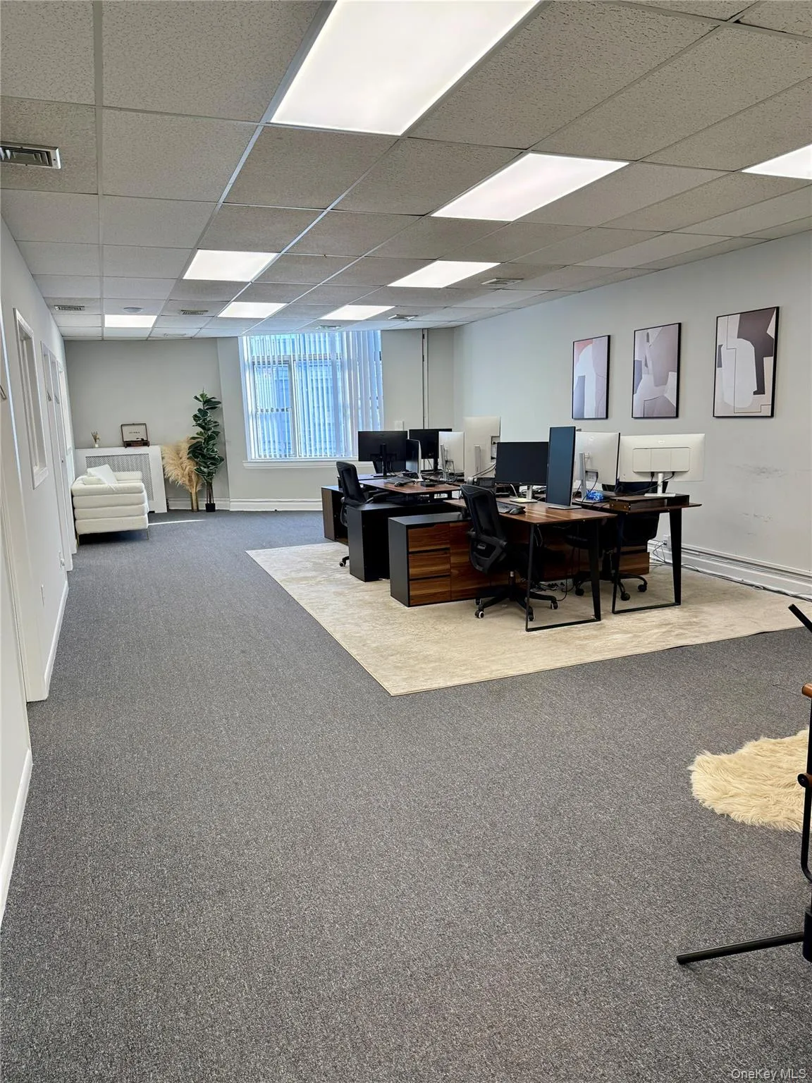 375 Sunrise Highway, Hempstead, NY, ,Commercial Lease,Idx,Sunrise,0,941331 375 Sunrise Highway, Hempstead, NY, ,Commercial Lease,Idx,Sunrise,0,941331