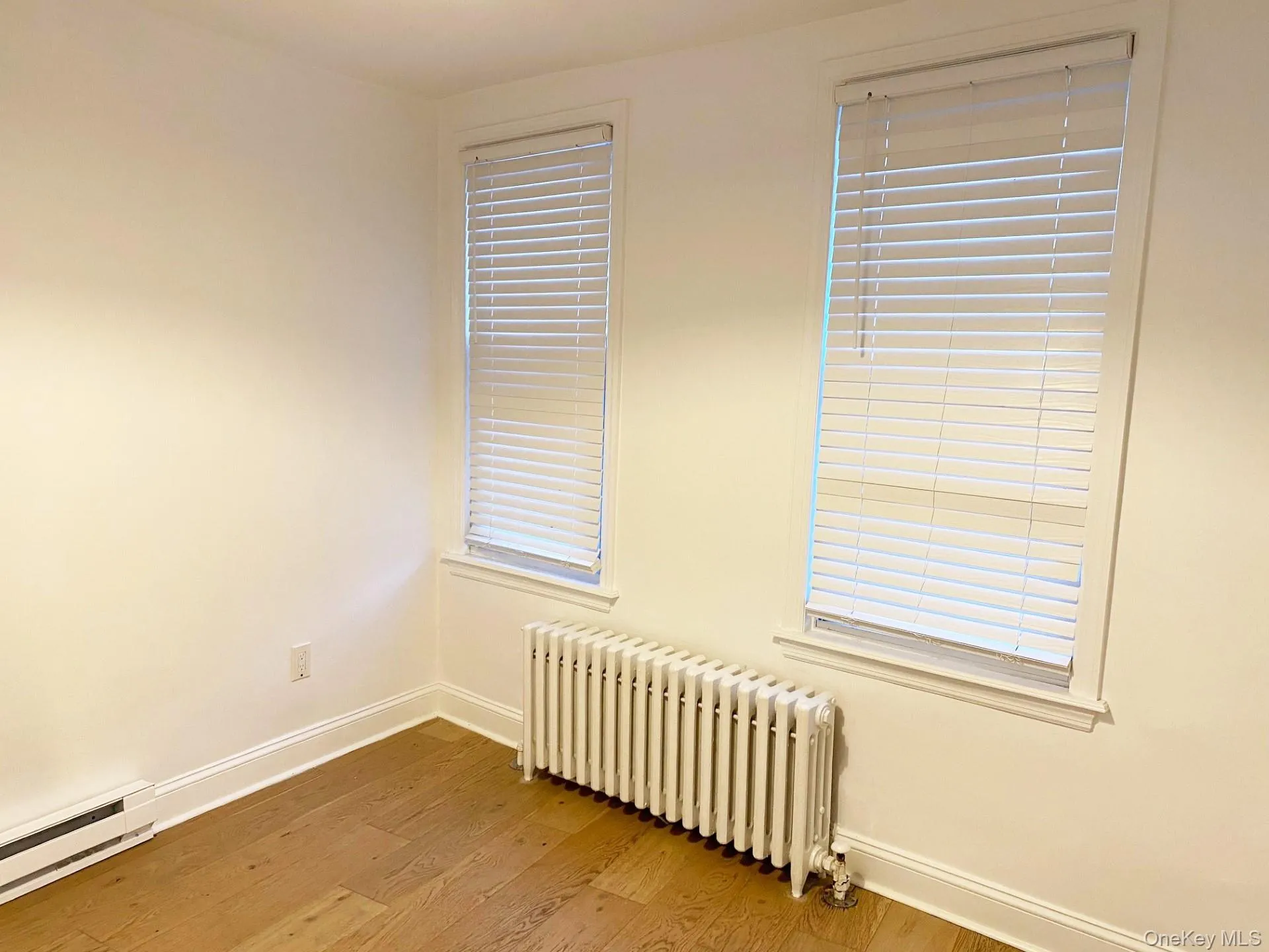 Unfurnished room featuring radiator heating unit, light wood-style floors, and a baseboard radiator Unfurnished room featuring radiator heating unit, light wood-style floors, and a baseboard radiator