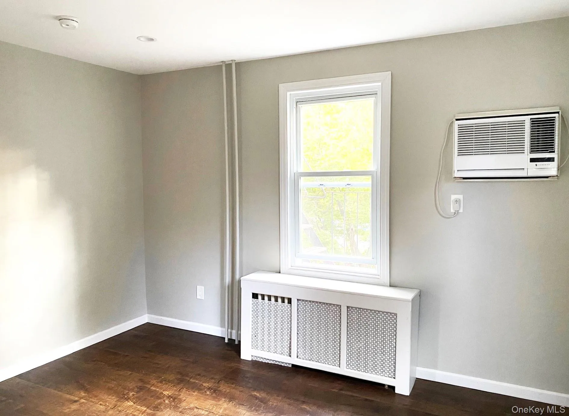 Spare room featuring radiator, dark wood-style floors, and a wall mounted AC Spare room featuring radiator, dark wood-style floors, and a wall mounted AC