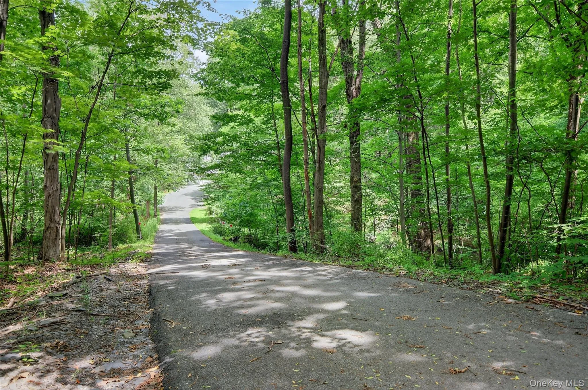 View of road featuring a wooded view View of road featuring a wooded view
