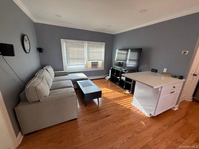 Living room with light wood-style flooring and ornamental molding Living room with light wood-style flooring and ornamental molding