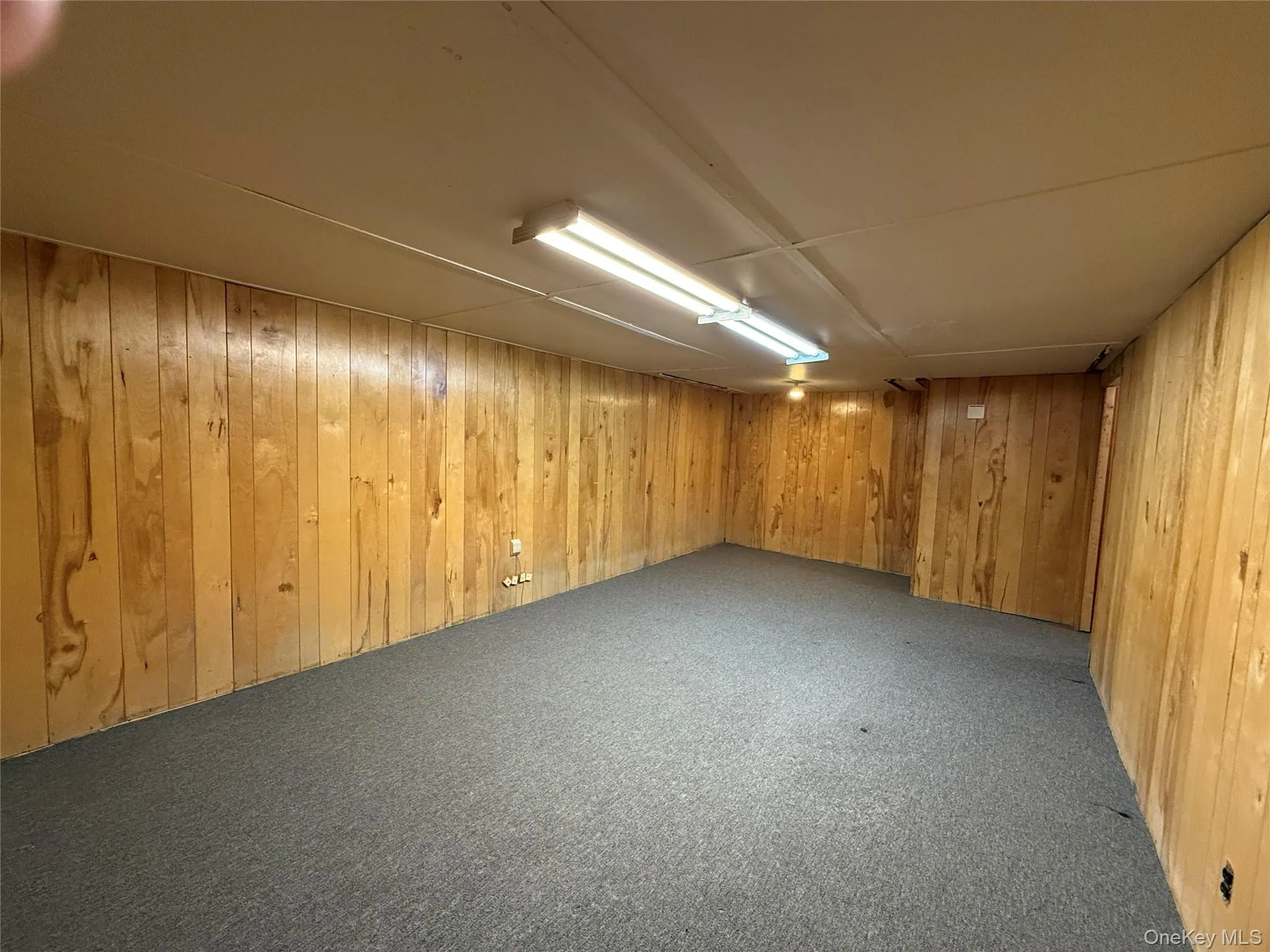 Finished below grade area featuring wood walls and carpet flooring Finished below grade area featuring wood walls and carpet flooring