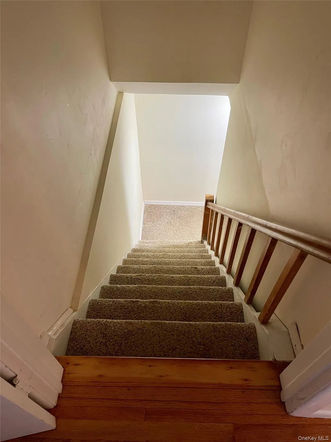 Stairs featuring carpet flooring Stairs featuring carpet flooring