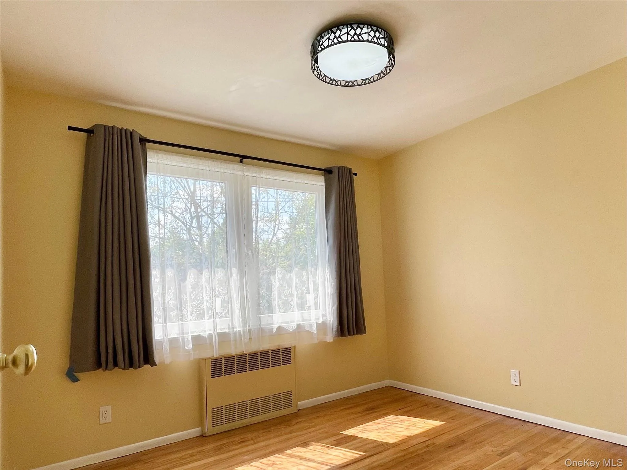 Unfurnished room featuring radiator and light wood finished floors Unfurnished room featuring radiator and light wood finished floors