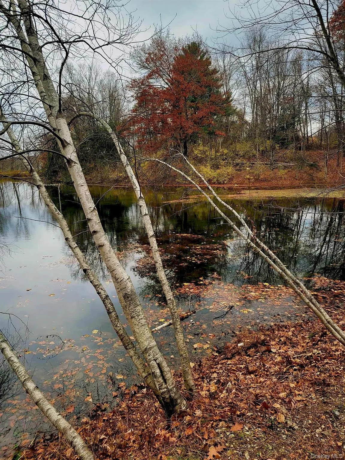 Water view Water view