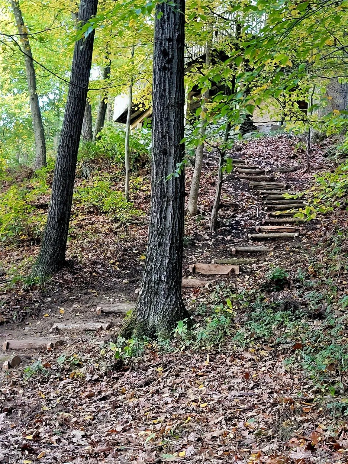 View of local wilderness View of local wilderness