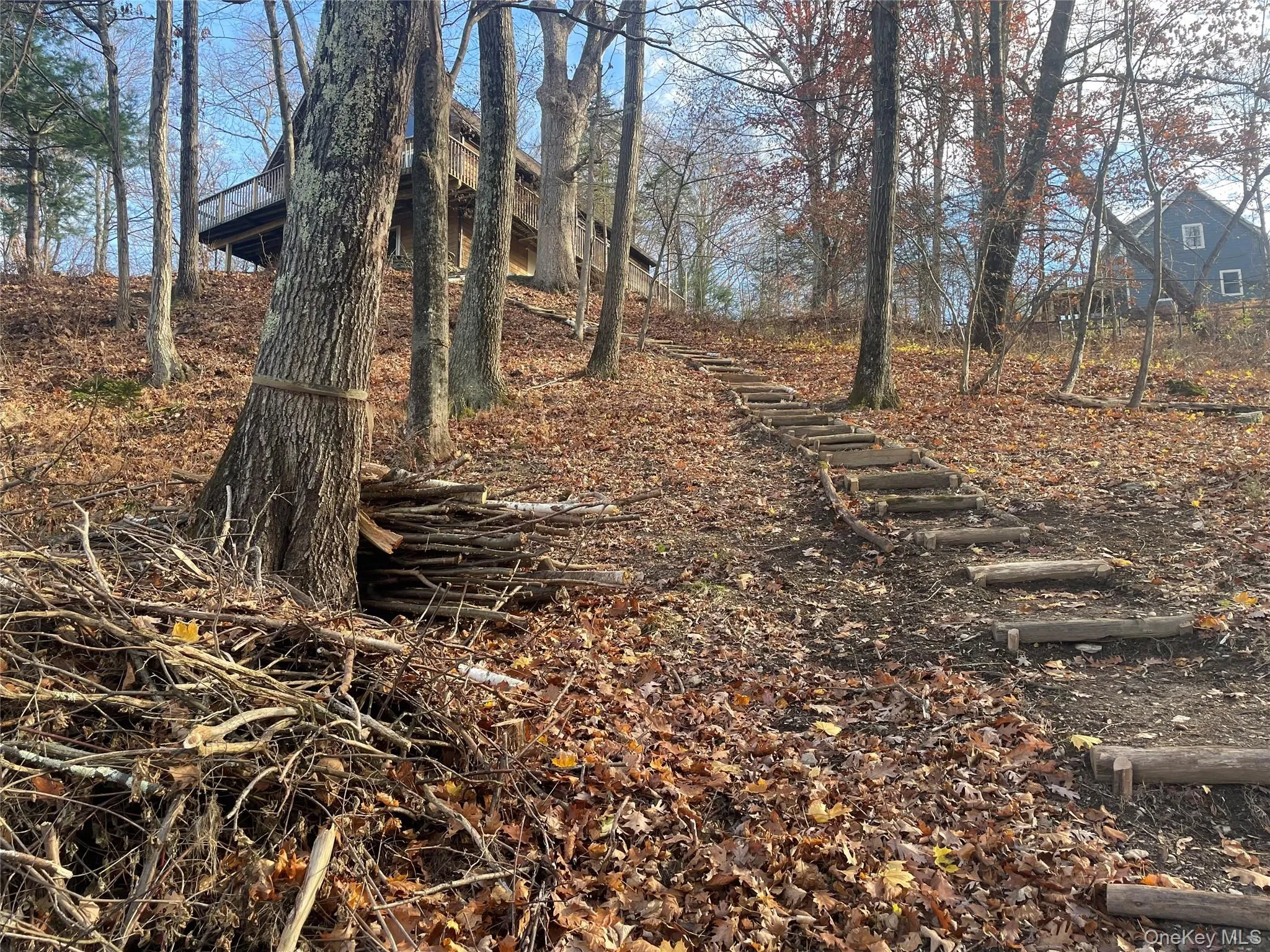View of local wilderness View of local wilderness