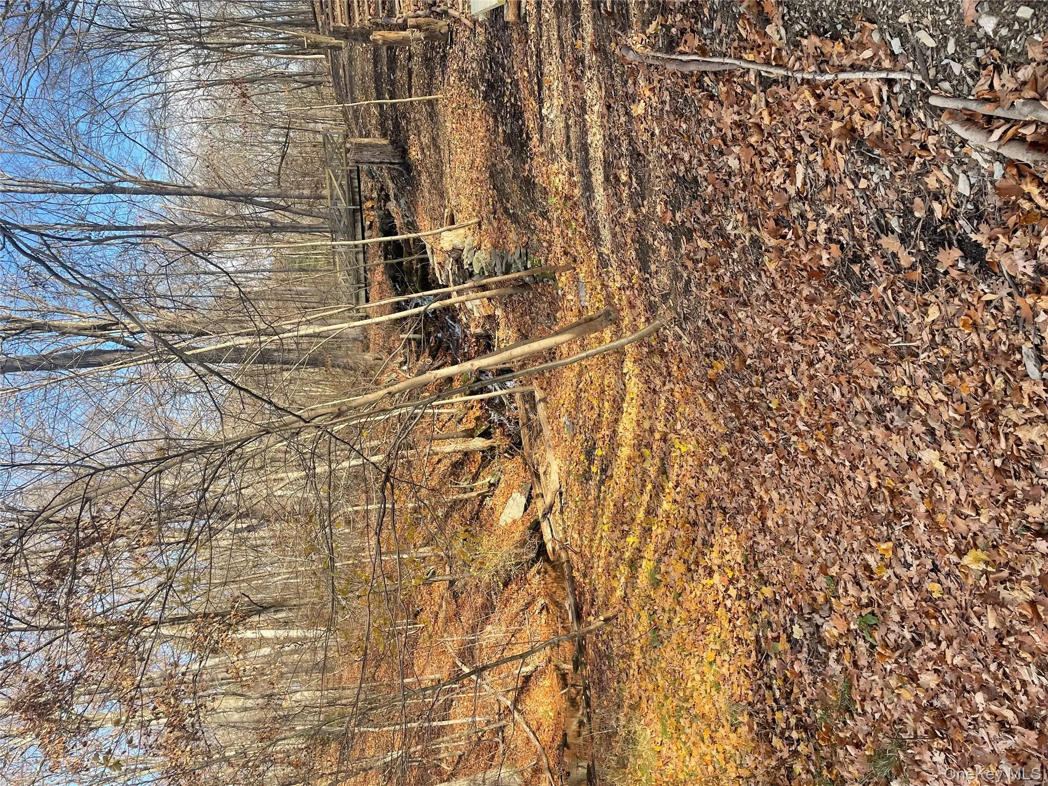 View of yard View of yard