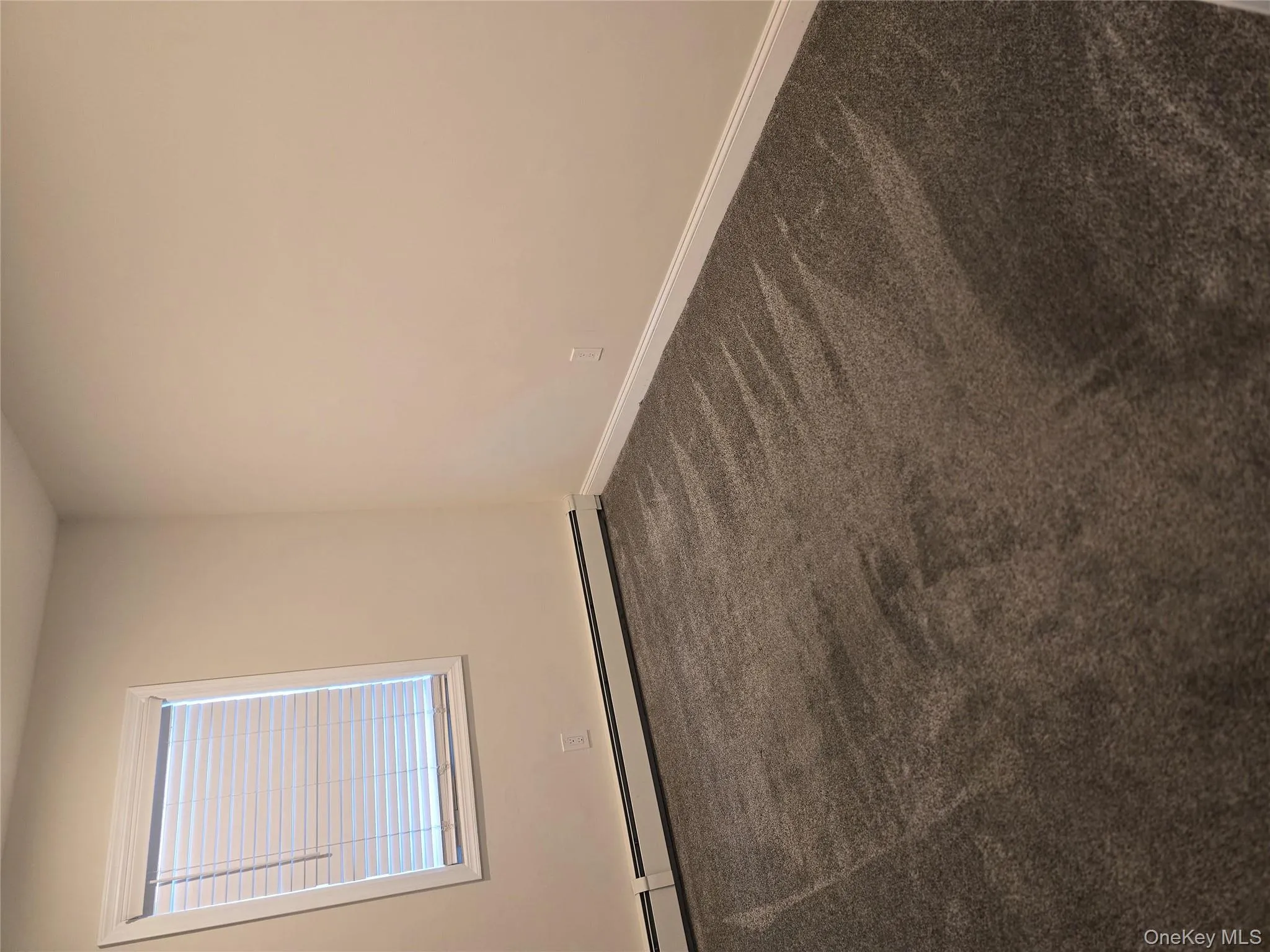 Unfurnished room featuring a baseboard radiator and dark colored carpet Unfurnished room featuring a baseboard radiator and dark colored carpet