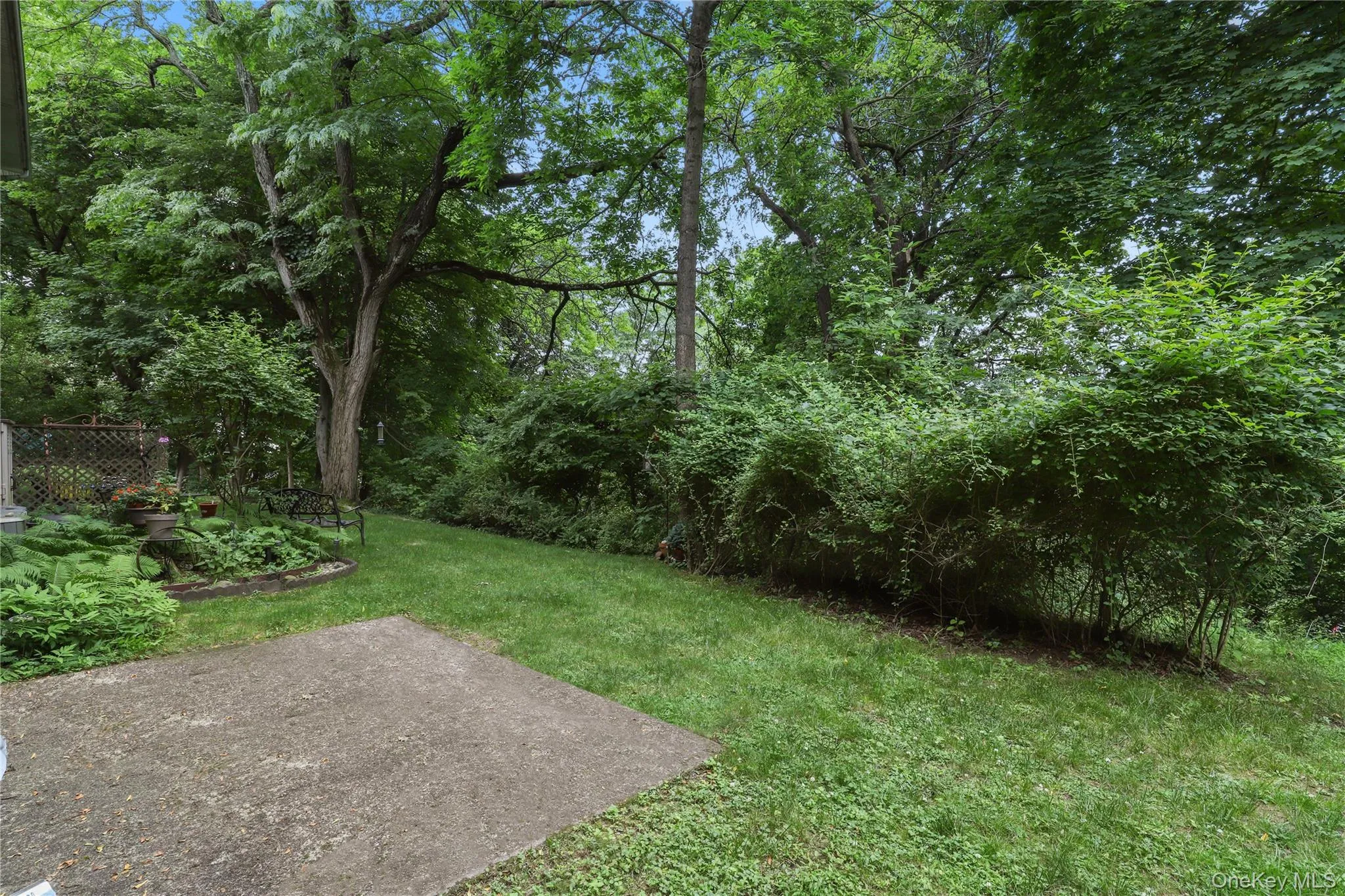 View of green lawn featuring a patio View of green lawn featuring a patio