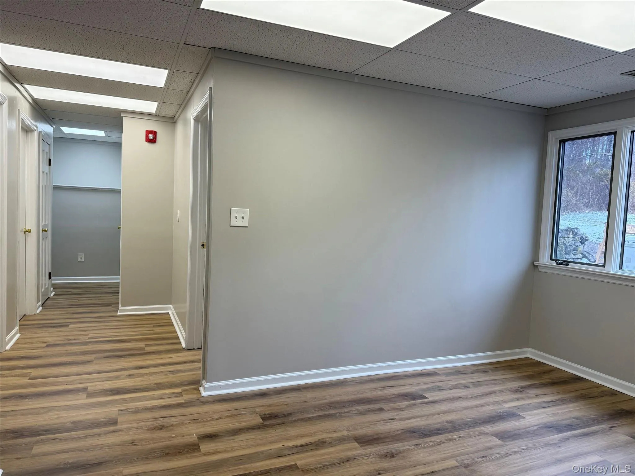 Spare room featuring a drop ceiling and dark wood-style flooring Spare room featuring a drop ceiling and dark wood-style flooring