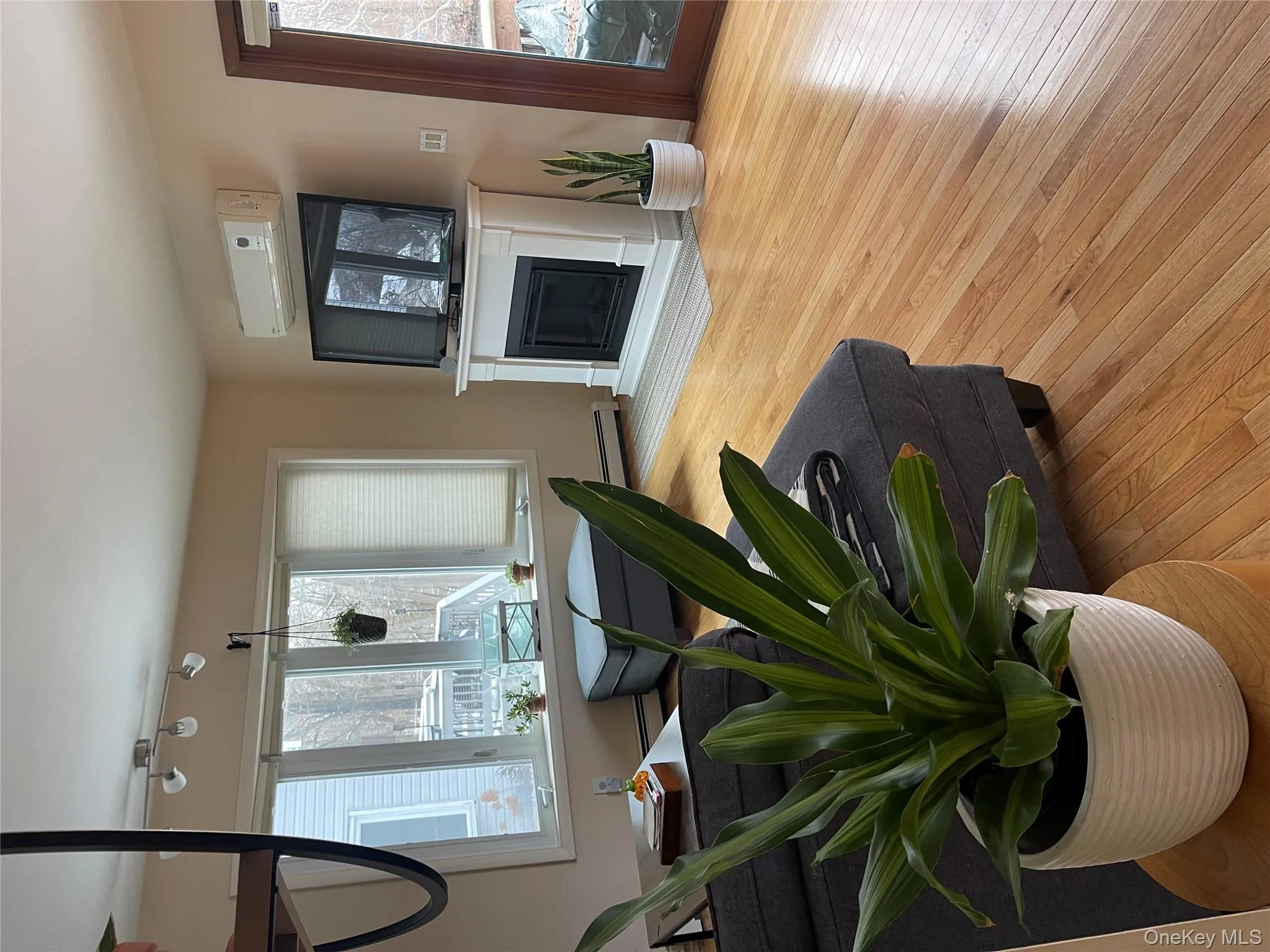 Living area with a glass covered fireplace, light wood-style floors, a wall mounted air conditioner, and a baseboard radiator Living area with a glass covered fireplace, light wood-style floors, a wall mounted air conditioner, and a baseboard radiator