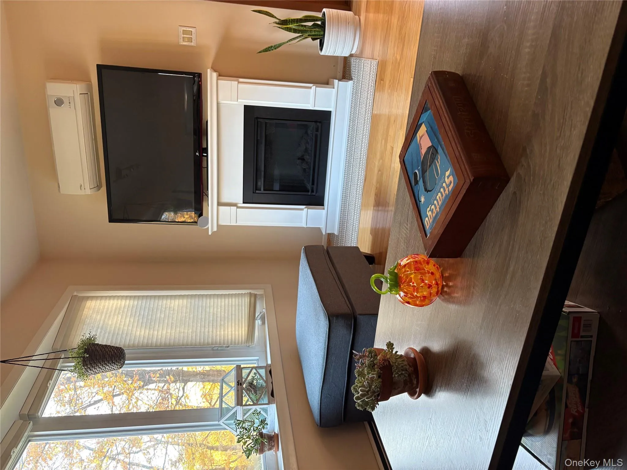 Living area with a glass covered fireplace, wood finished floors, and a wall mounted air conditioner Living area with a glass covered fireplace, wood finished floors, and a wall mounted air conditioner