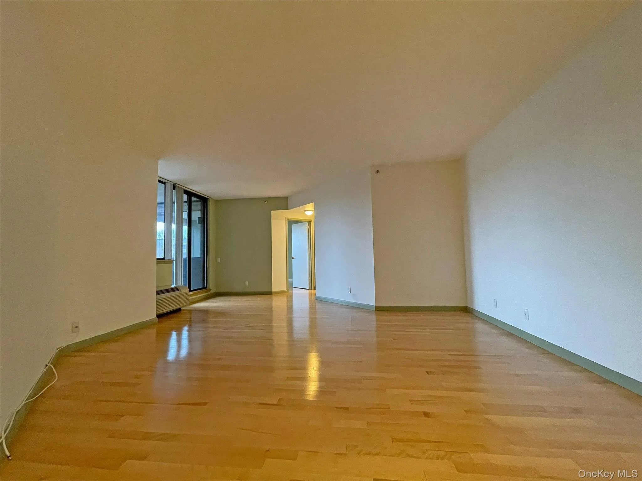 Unfurnished room with light wood-type flooring Unfurnished room with light wood-type flooring
