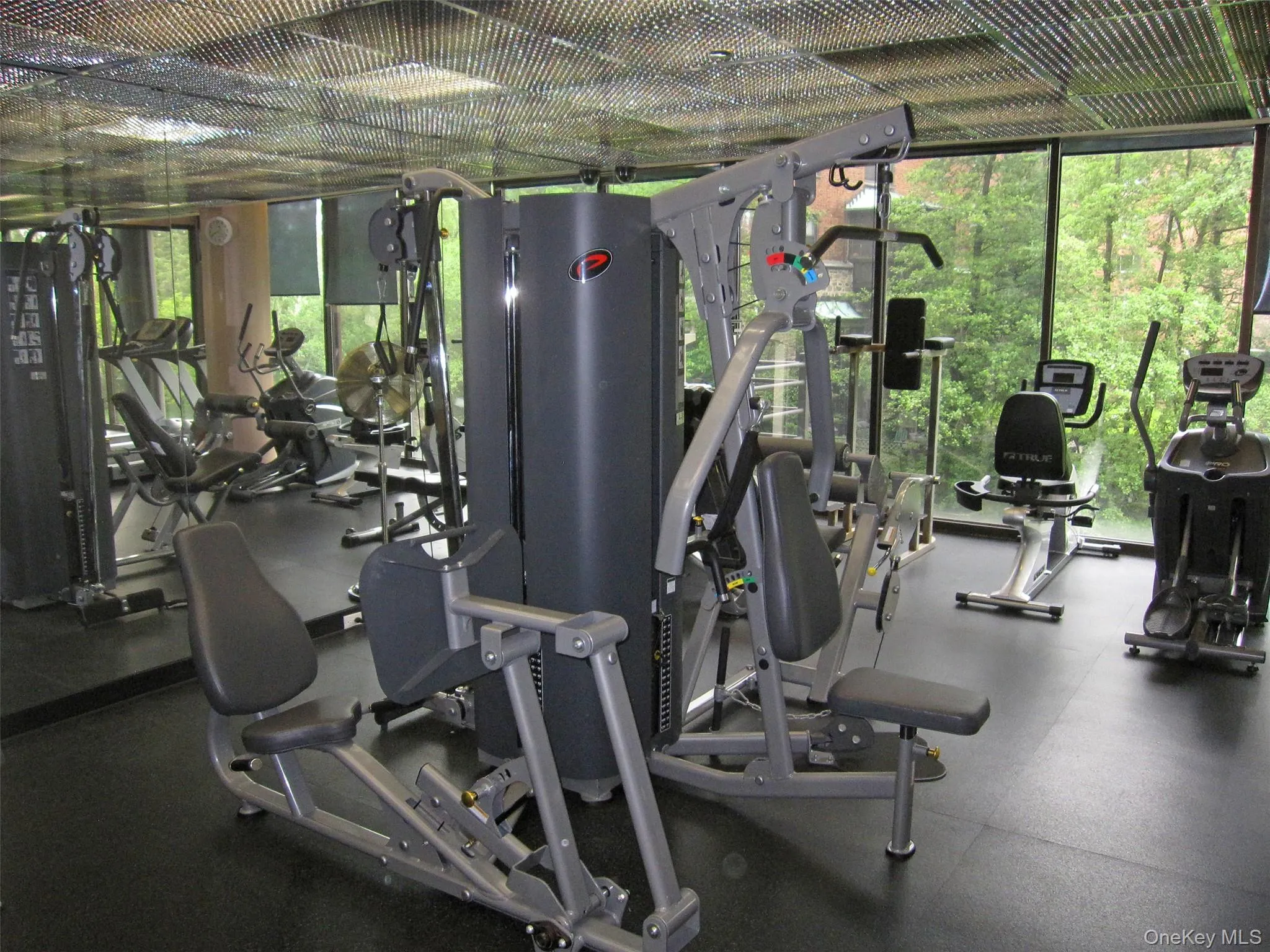 Gym with a wall of windows Gym with a wall of windows