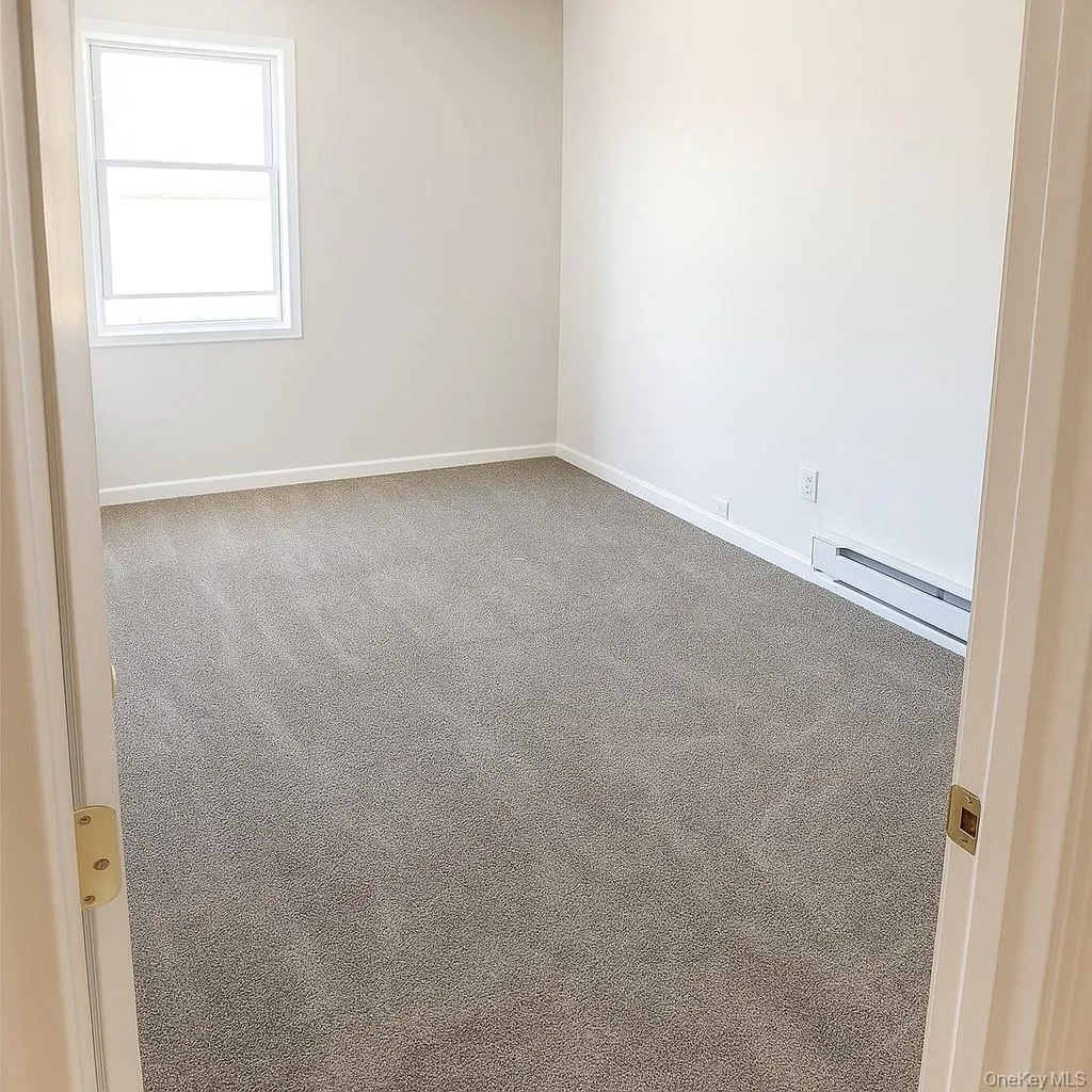 Empty room with carpet and baseboard heating Empty room with carpet and baseboard heating