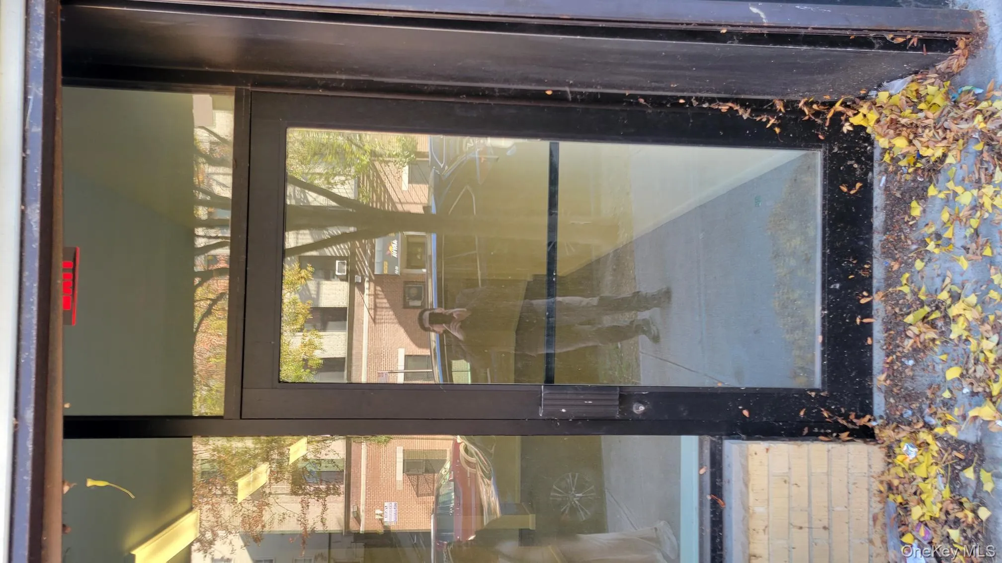 62-66 Tremont Avenue, New York, NY, ,Commercial Lease,Idx,Tremont,0,941775 62-66 Tremont Avenue, New York, NY, ,Commercial Lease,Idx,Tremont,0,941775