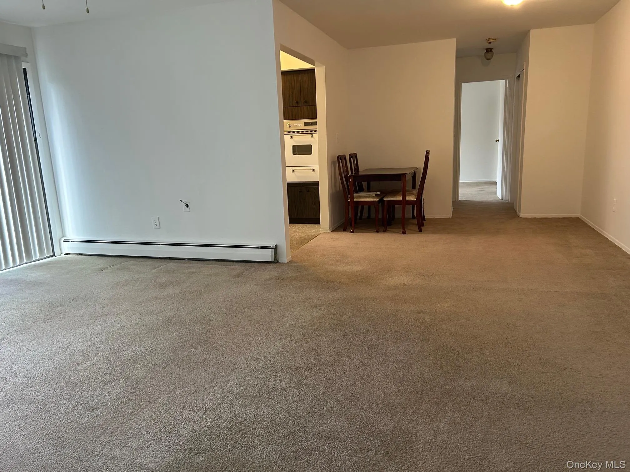 Spare room with light colored carpet and baseboard heating Spare room with light colored carpet and baseboard heating